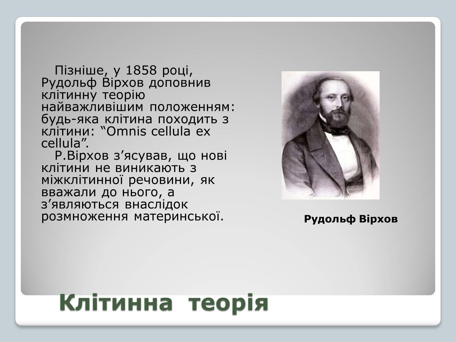 Презентація на тему «Клітинна теорія» - Слайд #4 Презентація на тему «Клітинна теорія» - Слайд #4