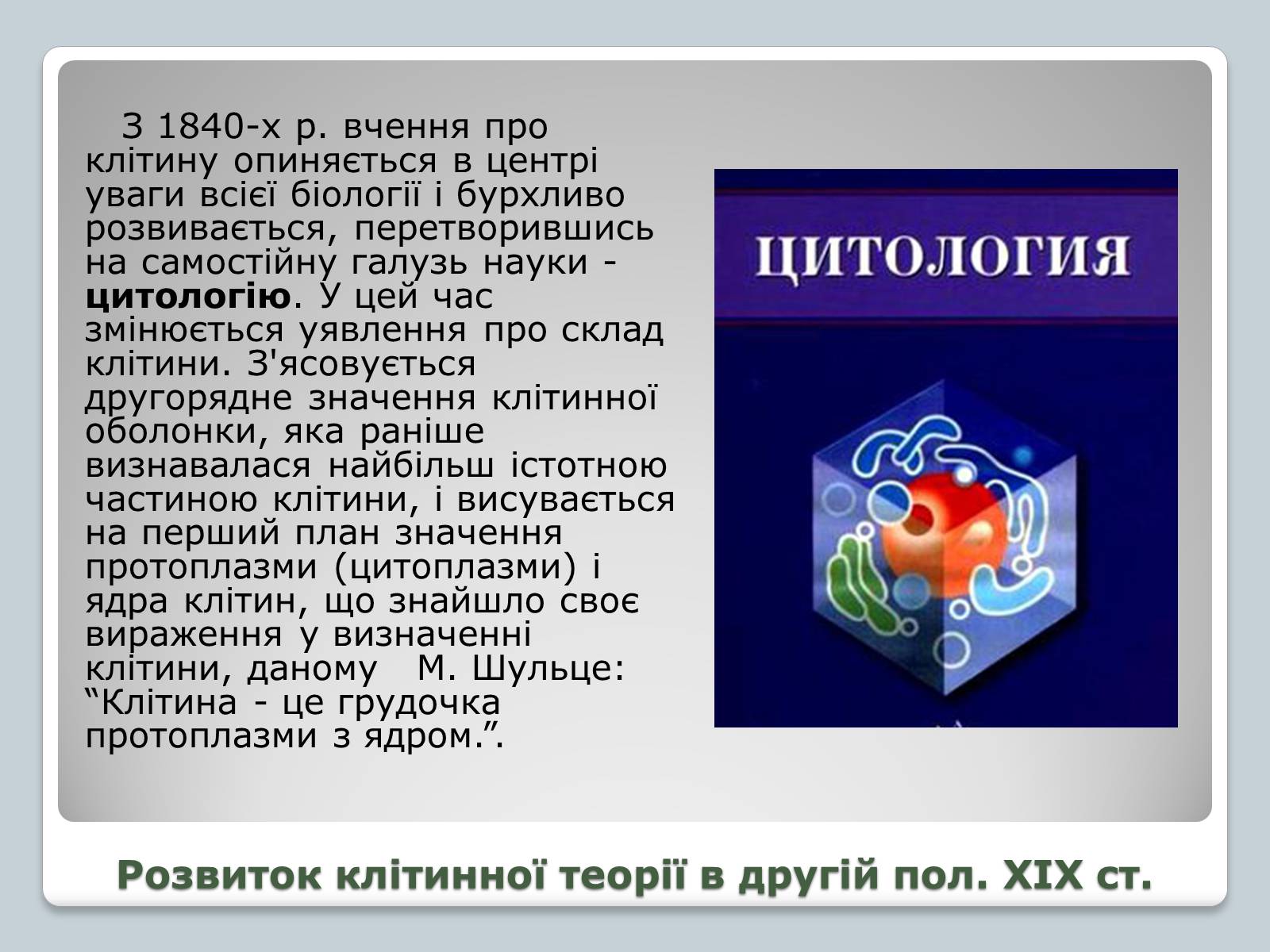 Презентація на тему «Клітинна теорія» - Слайд #5 Презентація на тему «Клітинна теорія» - Слайд #5