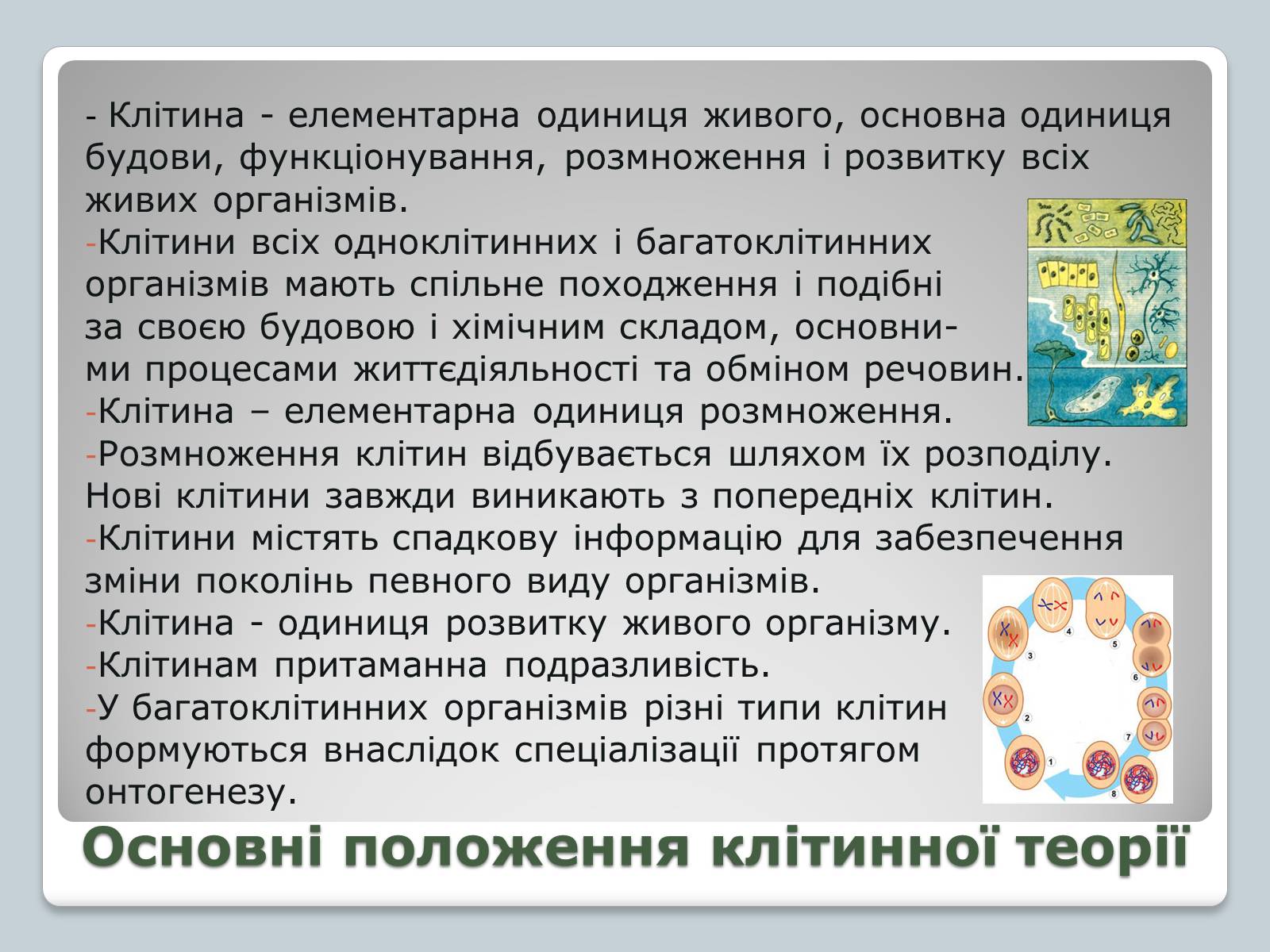 Презентація на тему «Клітинна теорія» - Слайд #7 Презентація на тему «Клітинна теорія» - Слайд #7