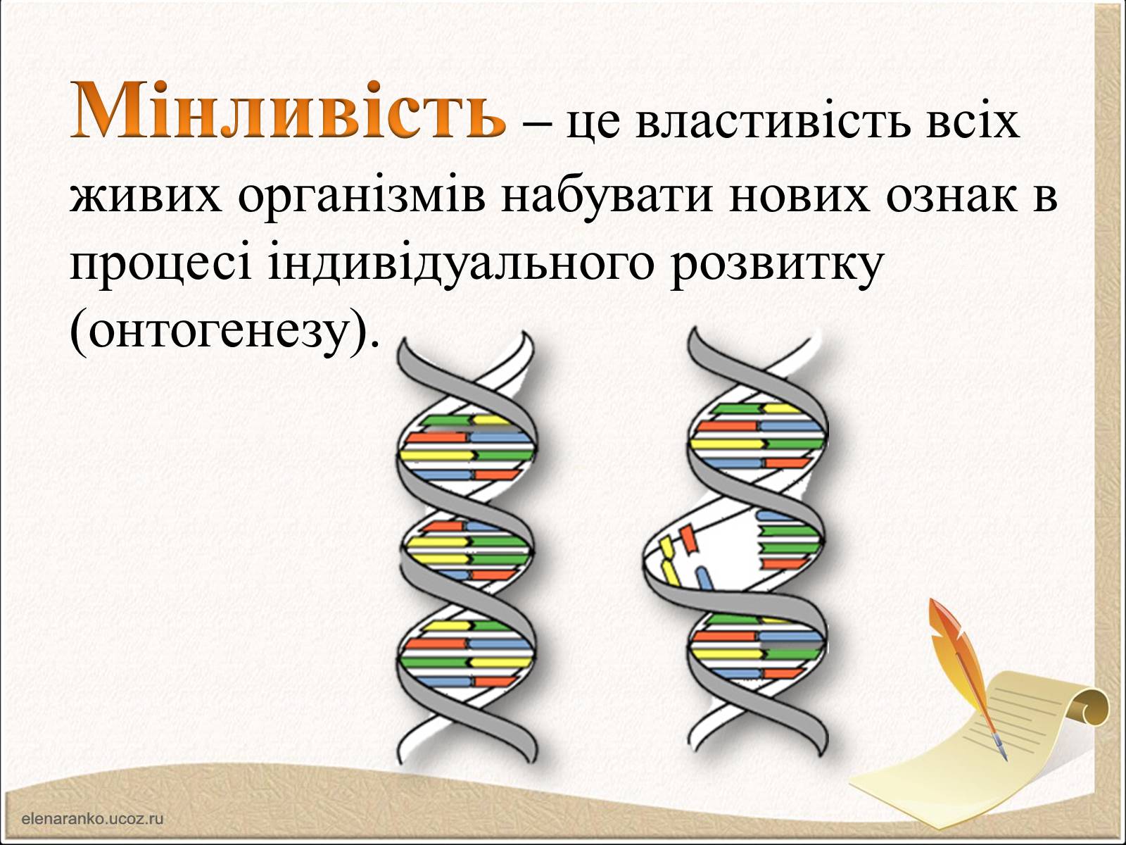 Презентація на тему «Модифікаційна мінливість» (варіант 1) - Слайд #2 Презентація на тему «Модифікаційна мінливість» (варіант 1) - Слайд #2