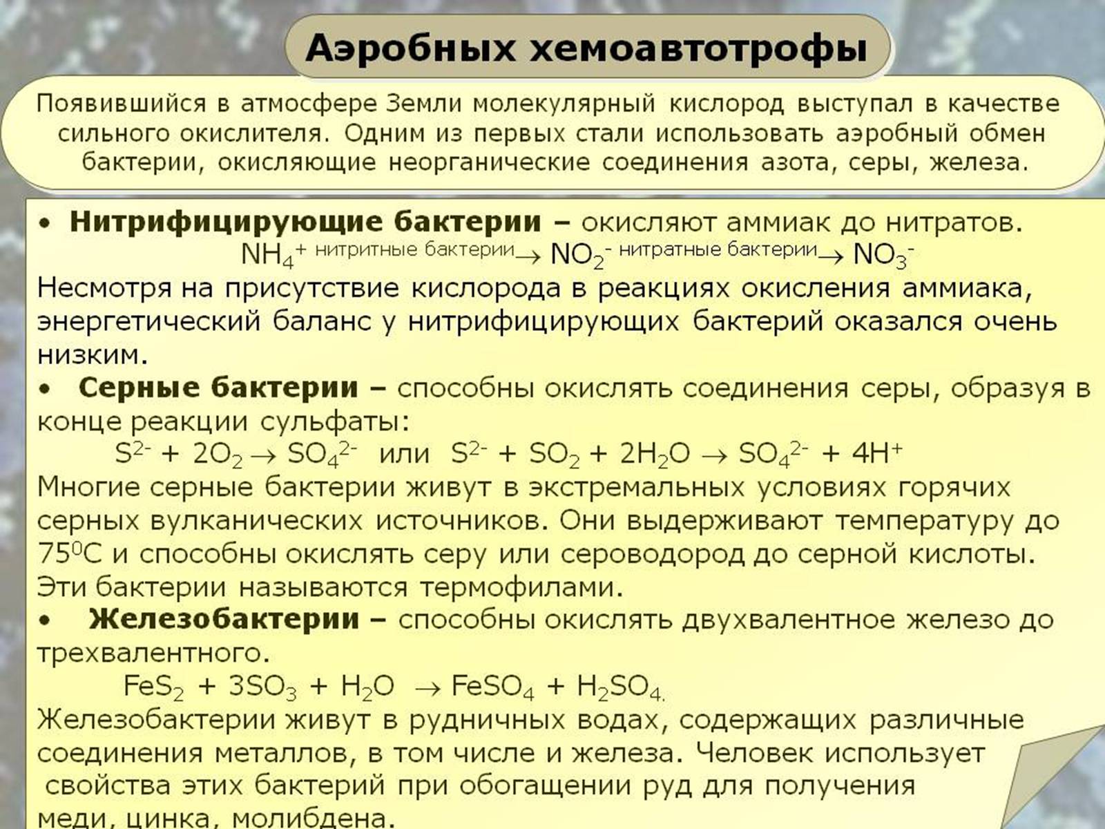 Презентація на тему «Хемосинтетики» - Слайд #5