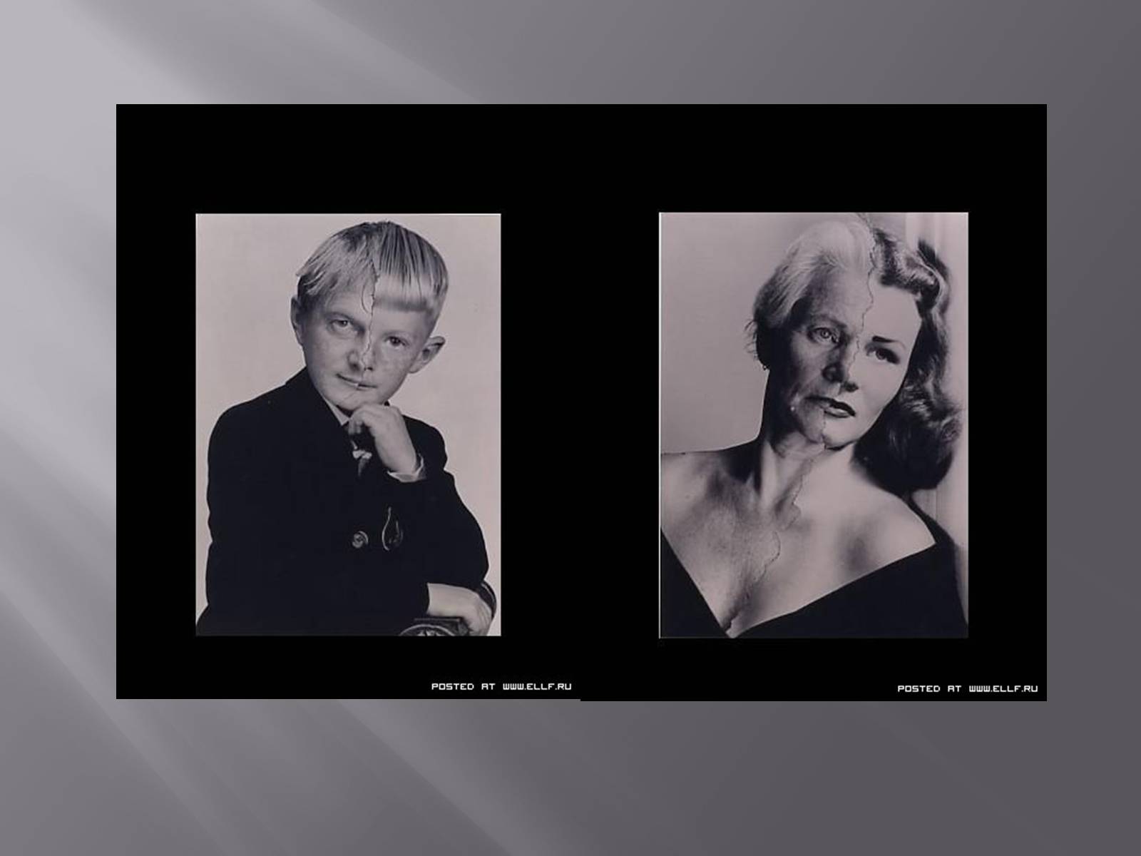 Презентація на тему «Геронтологія» (варіант 1) - Слайд #32 Презентація на тему «Геронтологія» (варіант 1) - Слайд #32