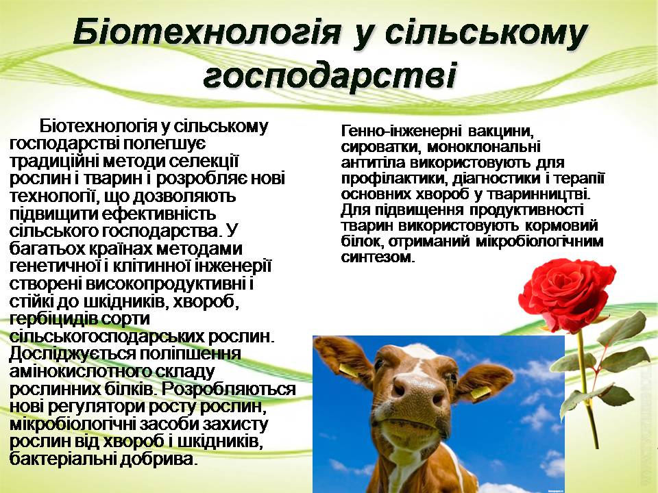 Презентація на тему «Біотехнології» (варіант 2) - Слайд #7 Презентація на тему «Біотехнології» (варіант 2) - Слайд #7