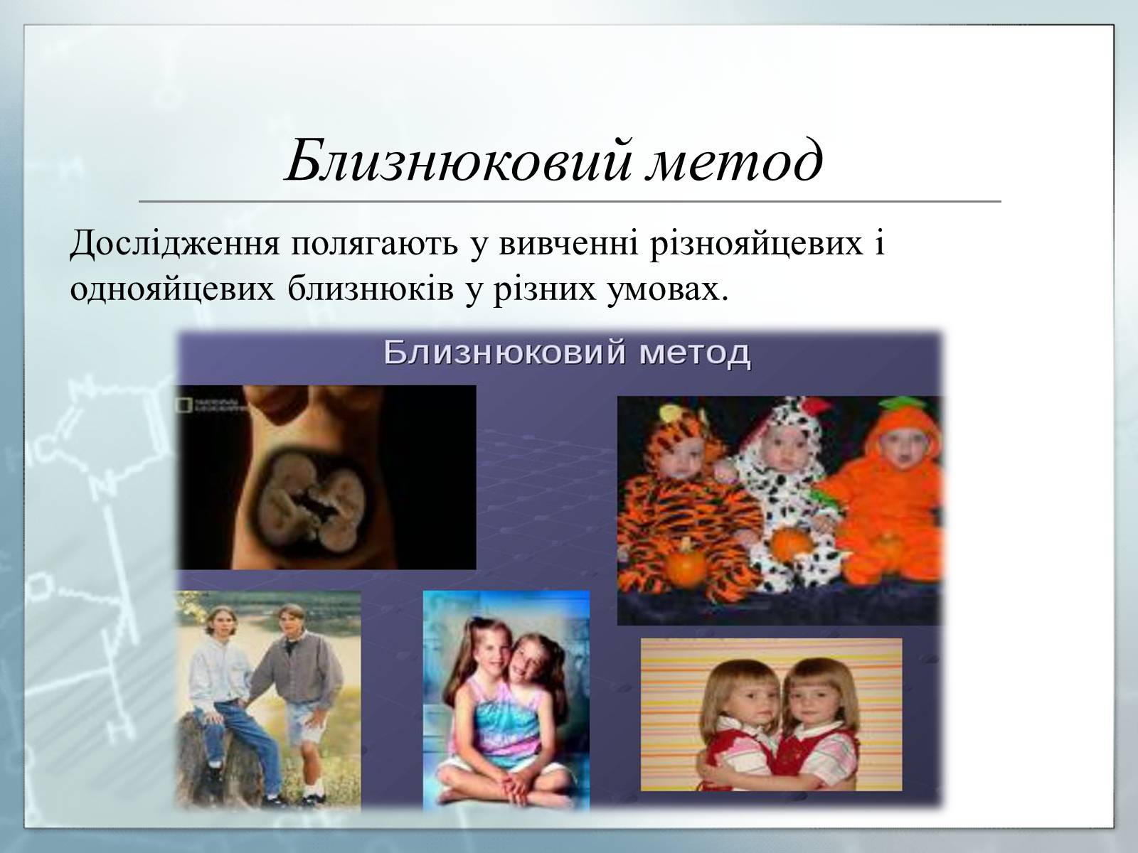 Презентація на тему «Генетика» (варіант 3) - Слайд #9 Презентація на тему «Генетика» (варіант 3) - Слайд #9