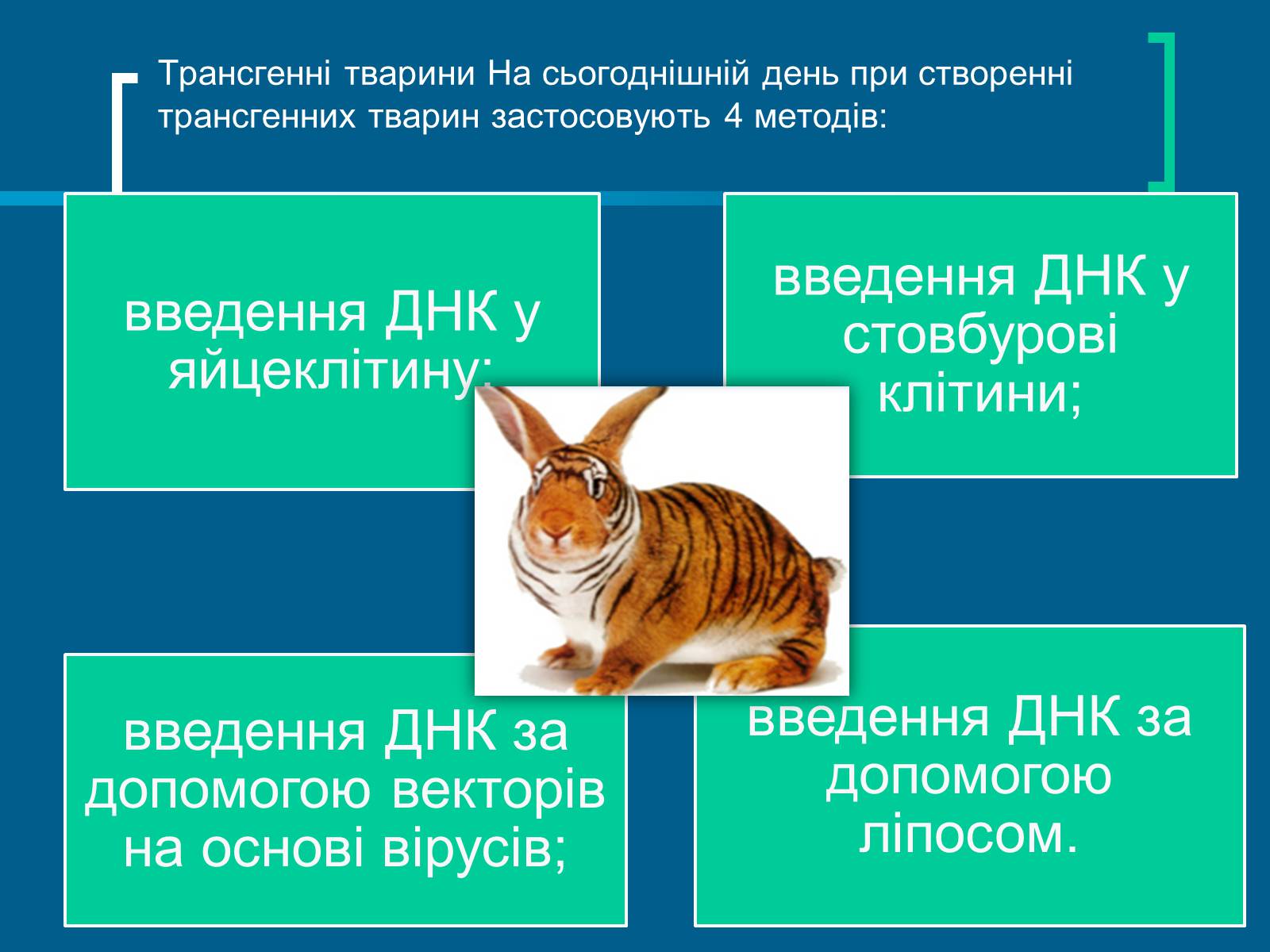 Презентація на тему «Трансгенні організми» (варіант 4) - Слайд #4 Презентація на тему «Трансгенні організми» (варіант 4) - Слайд #4