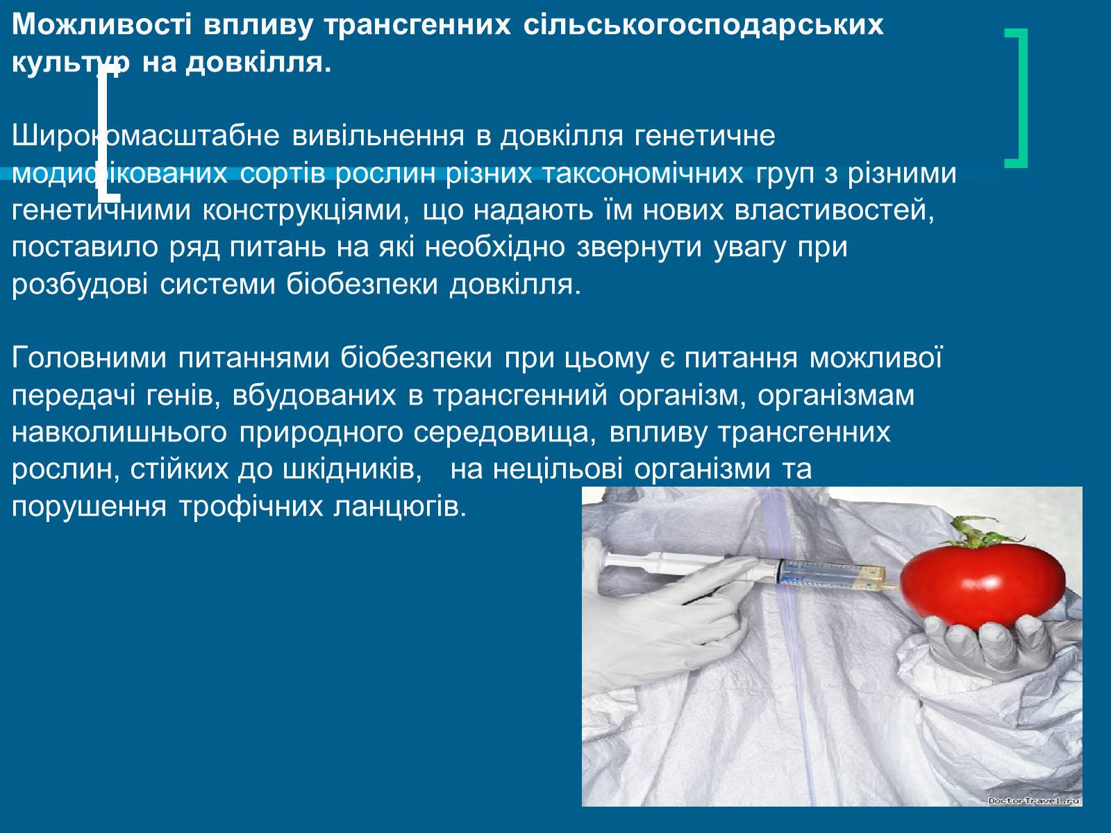 Презентація на тему «Трансгенні організми» (варіант 4) - Слайд #8 Презентація на тему «Трансгенні організми» (варіант 4) - Слайд #8