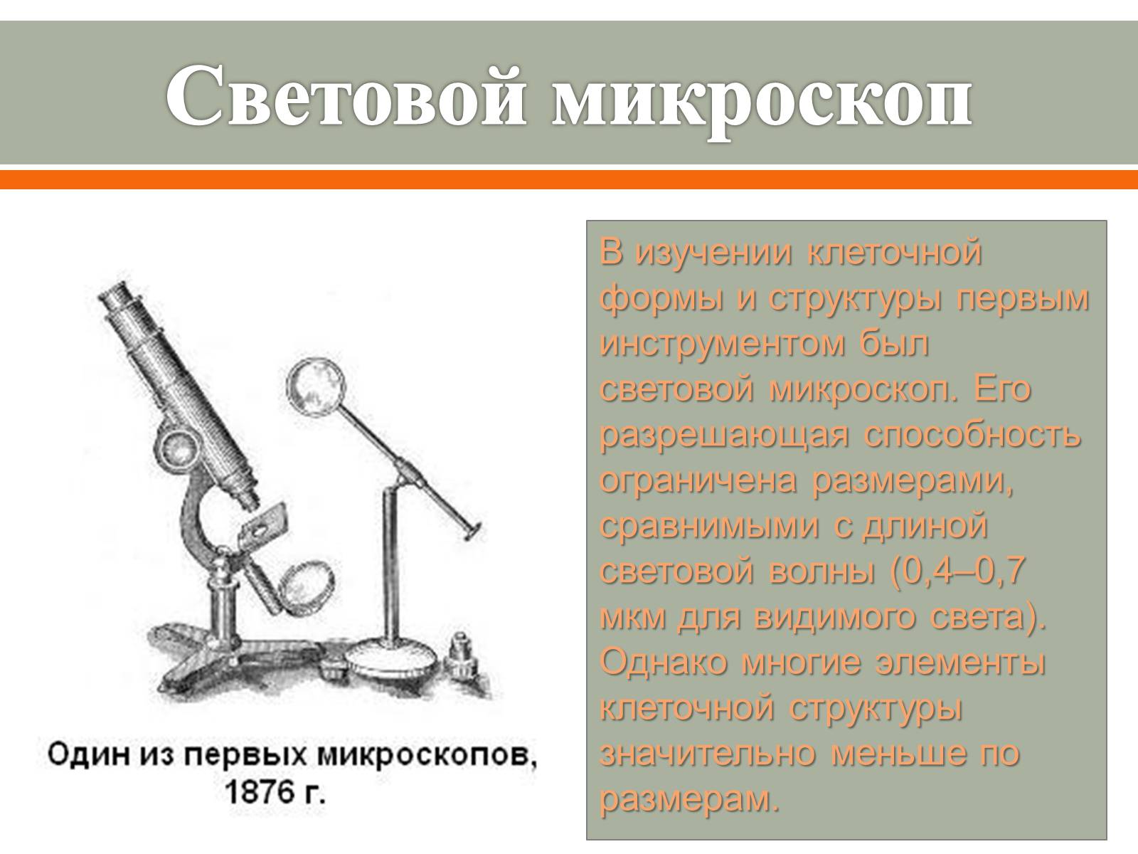 Презентація на тему «Методы исследования клетки» - Слайд #3 Презентація на тему «Методы исследования клетки» - Слайд #3