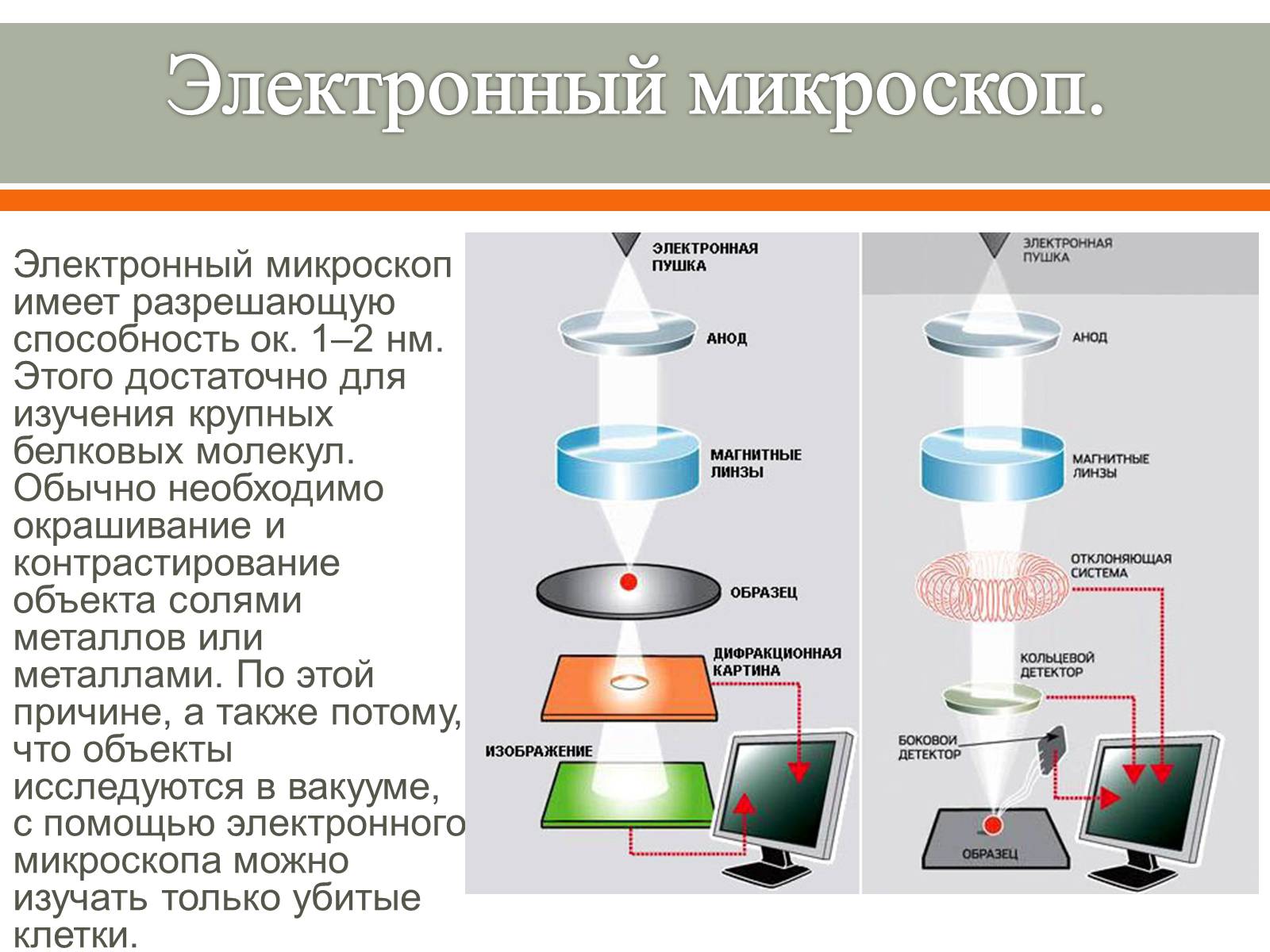 Презентація на тему «Методы исследования клетки» - Слайд #5 Презентація на тему «Методы исследования клетки» - Слайд #5