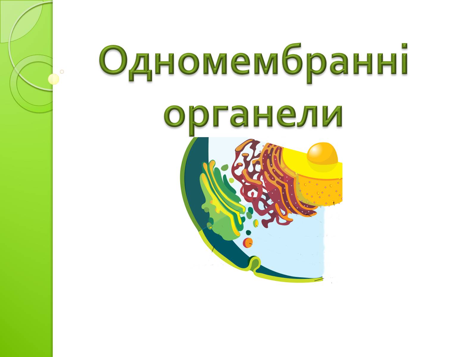 Презентація на тему «Одномембранні органели» (варіант 2) - Слайд #1 Презентація на тему «Одномембранні органели» (варіант 2) - Слайд #1