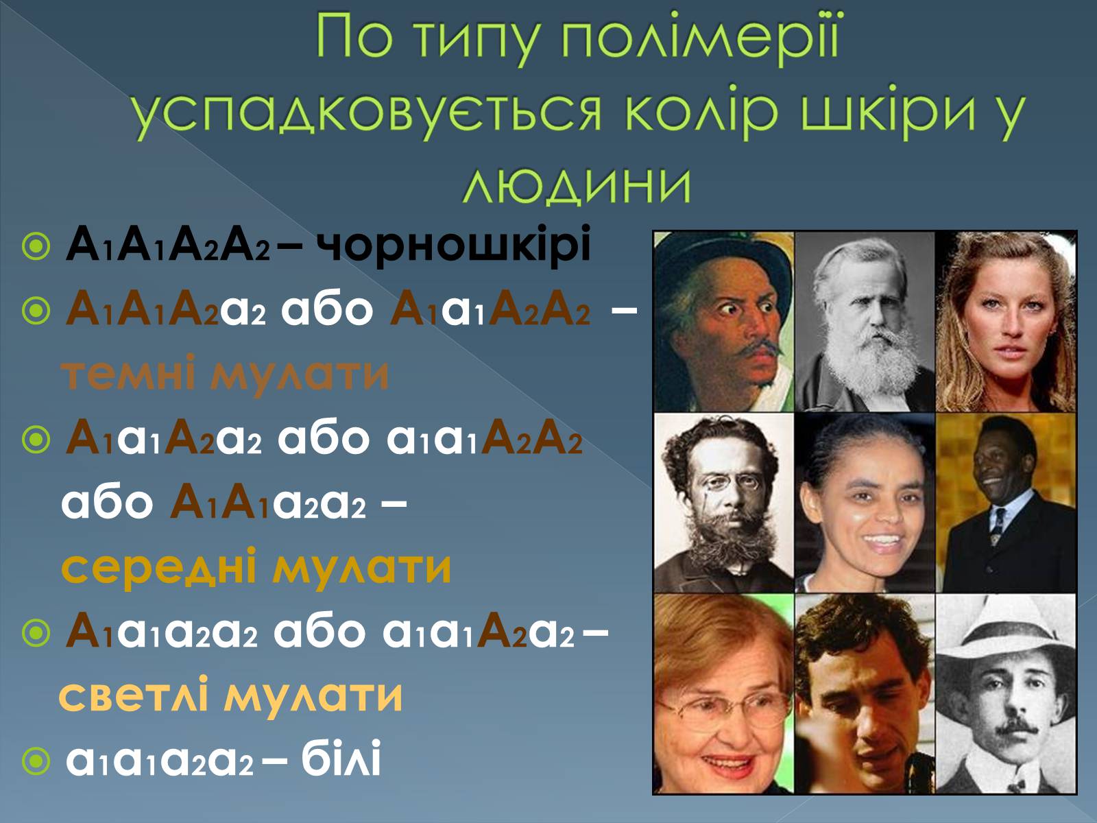 Презентація на тему «Типи взаємодії неалельних генів» - Слайд #12 Презентація на тему «Типи взаємодії неалельних генів» - Слайд #12