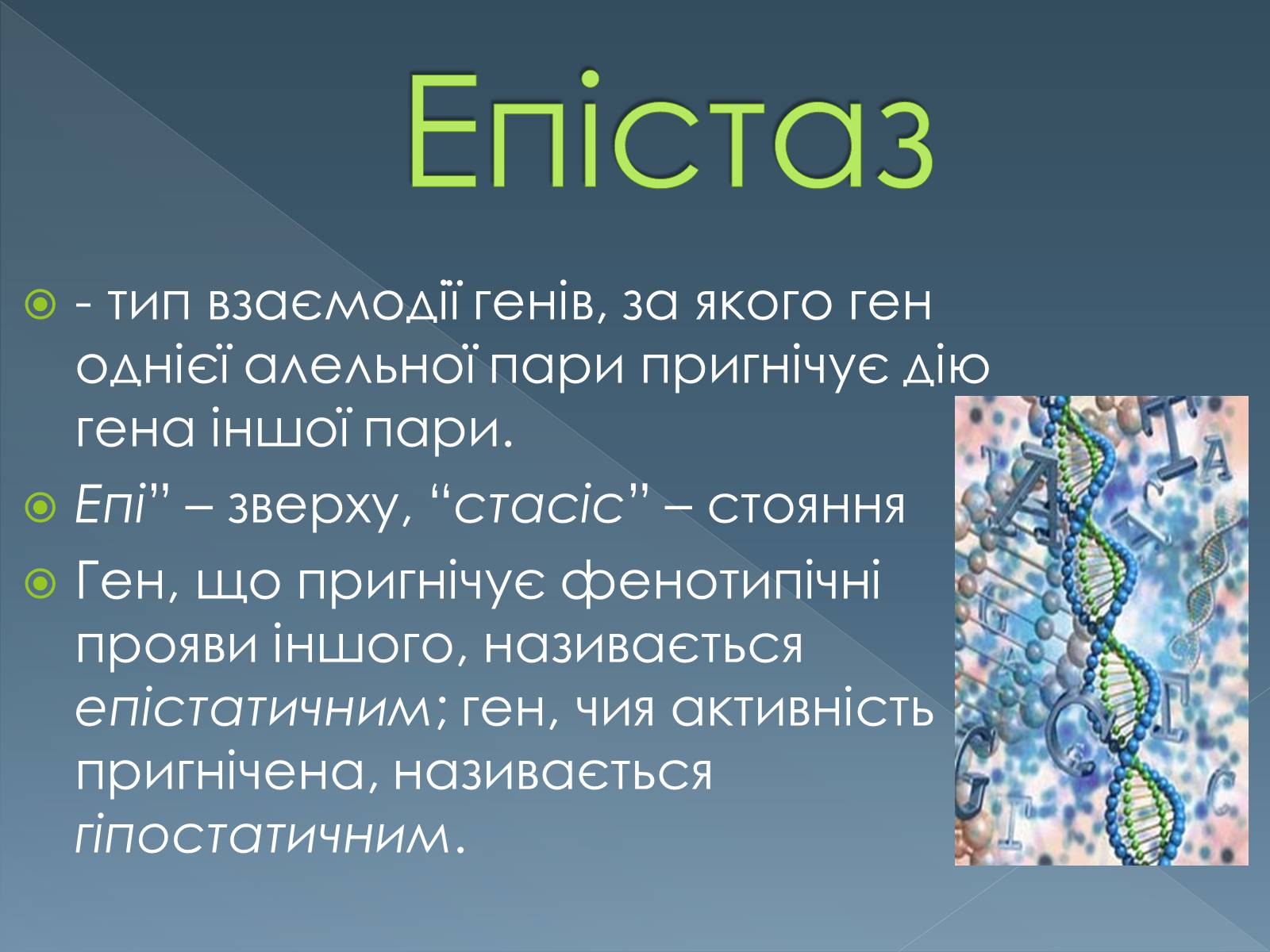 Презентація на тему «Типи взаємодії неалельних генів» - Слайд #3 Презентація на тему «Типи взаємодії неалельних генів» - Слайд #3