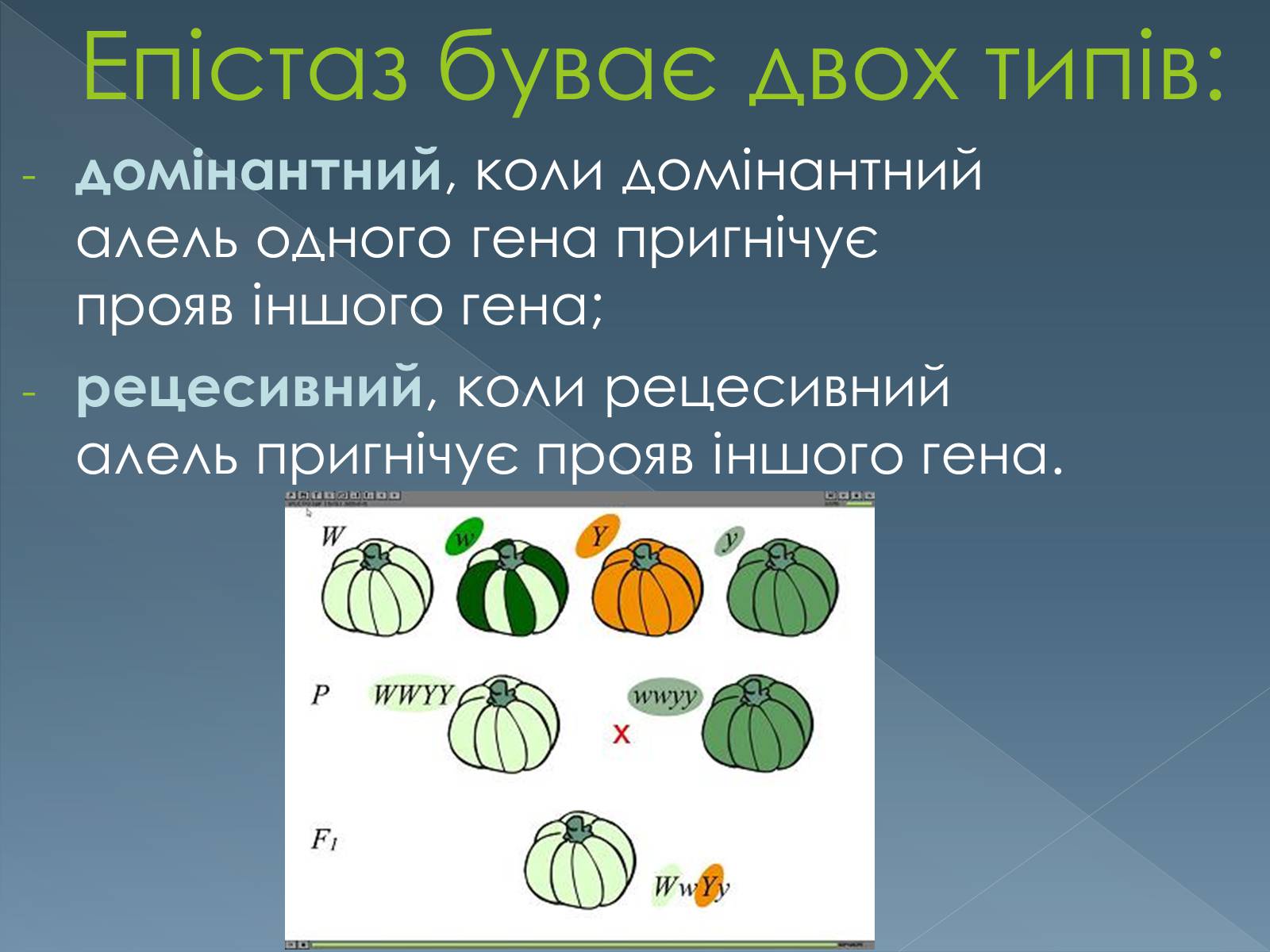 Презентація на тему «Типи взаємодії неалельних генів» - Слайд #4 Презентація на тему «Типи взаємодії неалельних генів» - Слайд #4