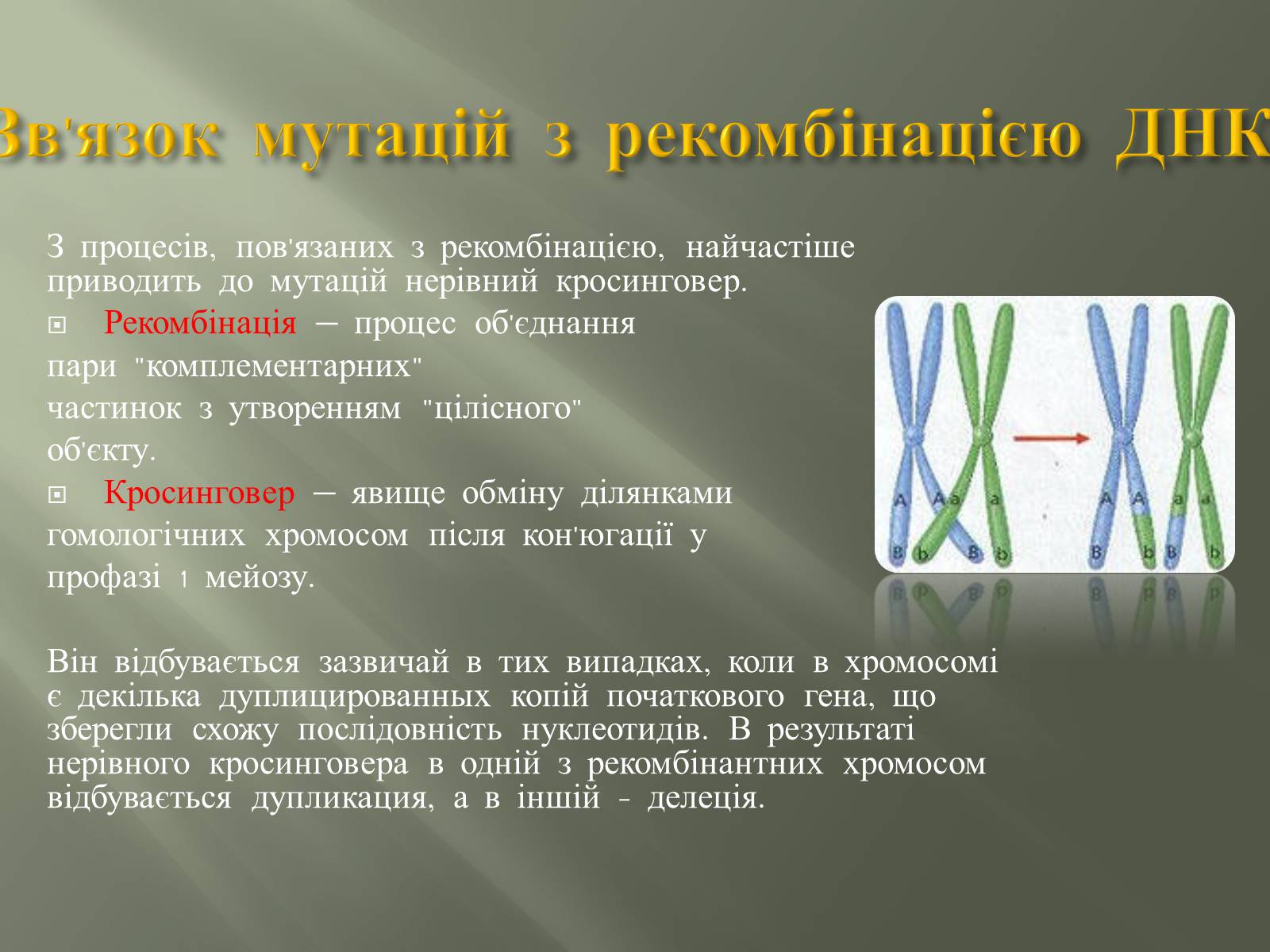Презентація на тему «Мутації» (варіант 2) - Слайд #6 Презентація на тему «Мутації» (варіант 2) - Слайд #6