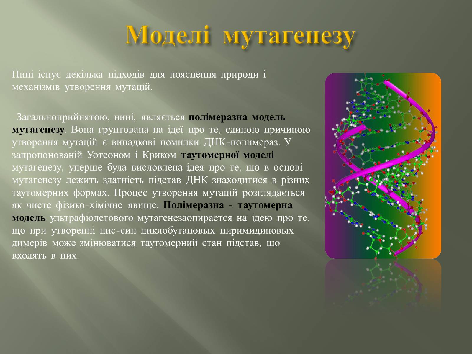 Презентація на тему «Мутації» (варіант 2) - Слайд #8 Презентація на тему «Мутації» (варіант 2) - Слайд #8