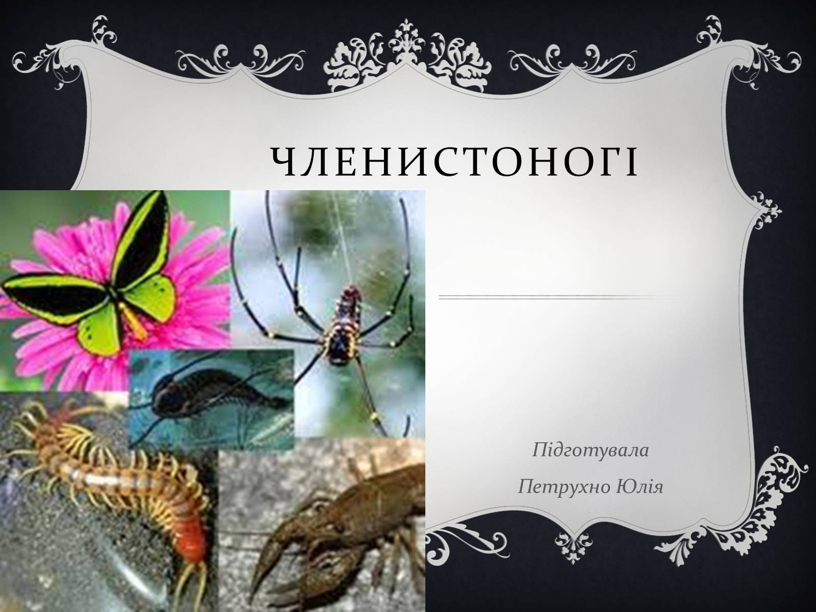 Презентація на тему «Членистоногі» (варіант 1) - Слайд #1 Презентація на тему «Членистоногі» (варіант 1) - Слайд #1
