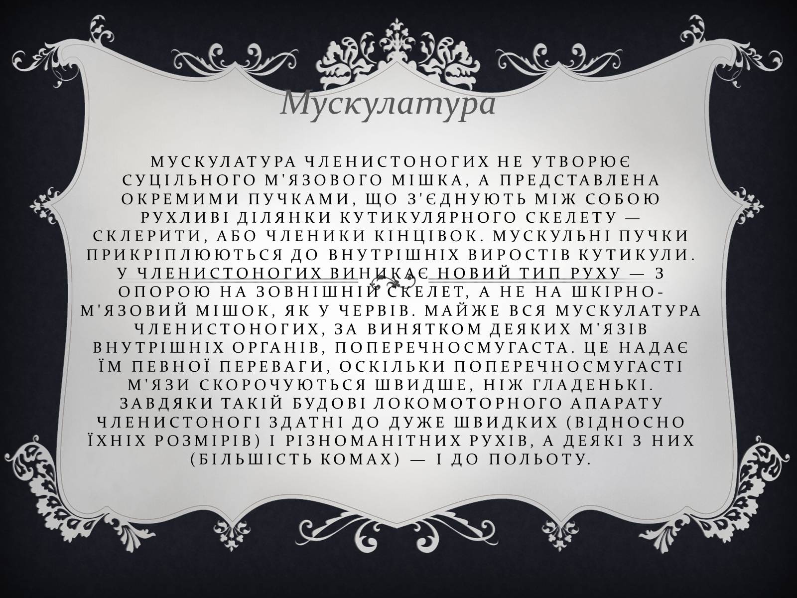 Презентація на тему «Членистоногі» (варіант 1) - Слайд #12 Презентація на тему «Членистоногі» (варіант 1) - Слайд #12