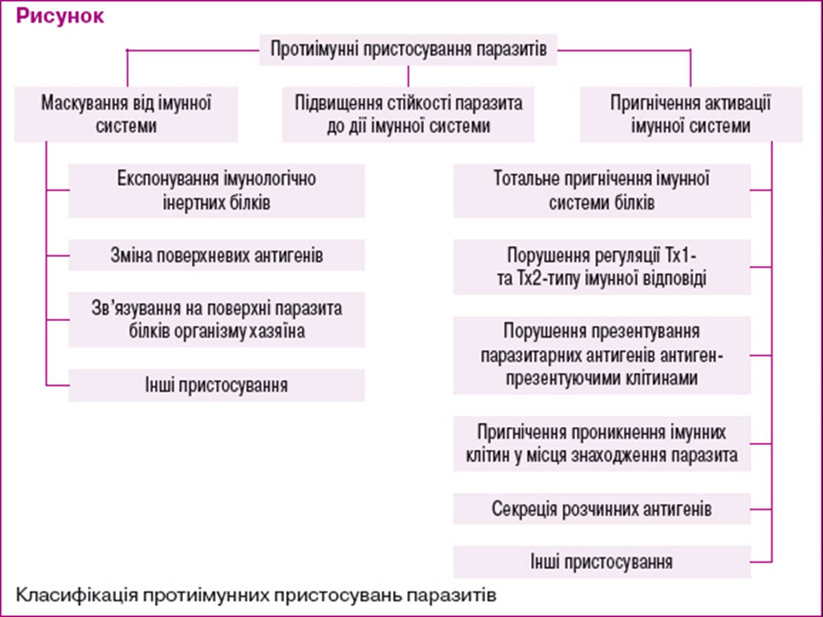 Презентація на тему «Членистоногі» (варіант 1) - Слайд #7 Презентація на тему «Членистоногі» (варіант 1) - Слайд #7