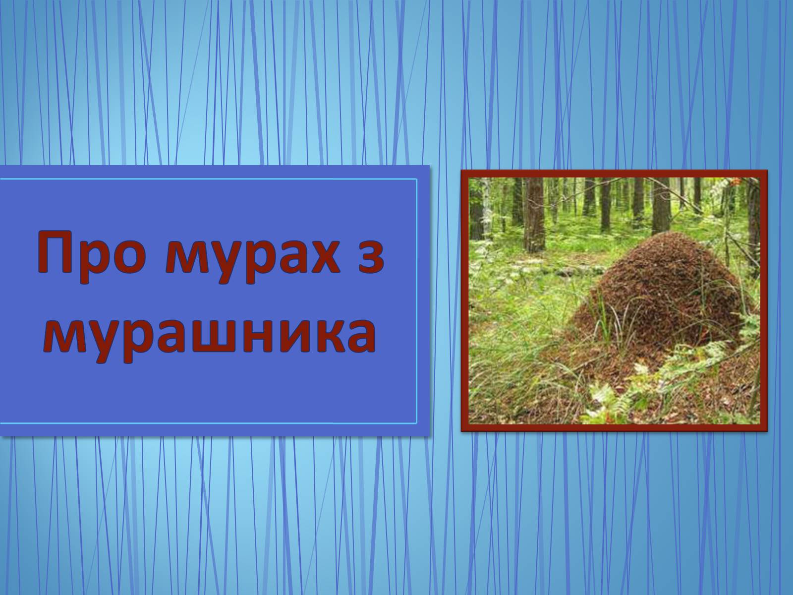 Презентація на тему «Про мурах з мурашника» - Слайд #1 Презентація на тему «Про мурах з мурашника» - Слайд #1