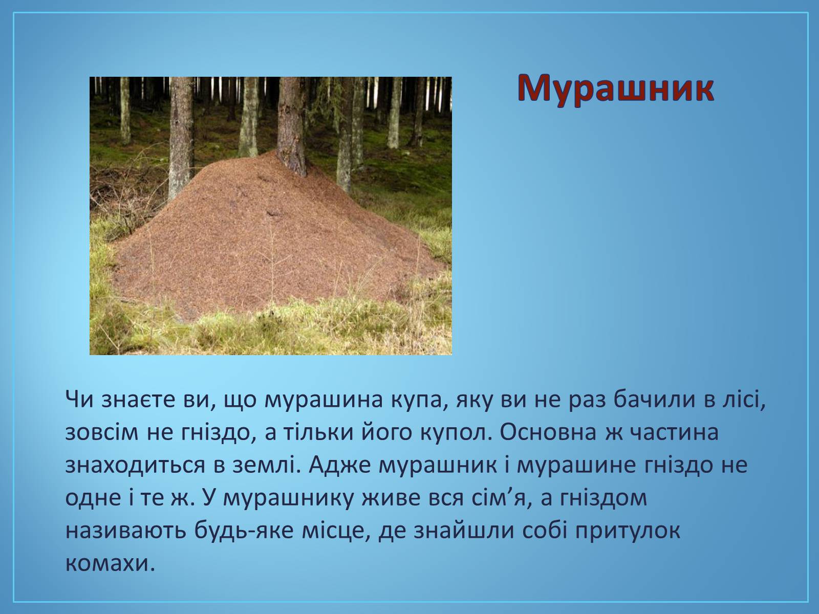 Презентація на тему «Про мурах з мурашника» - Слайд #3 Презентація на тему «Про мурах з мурашника» - Слайд #3