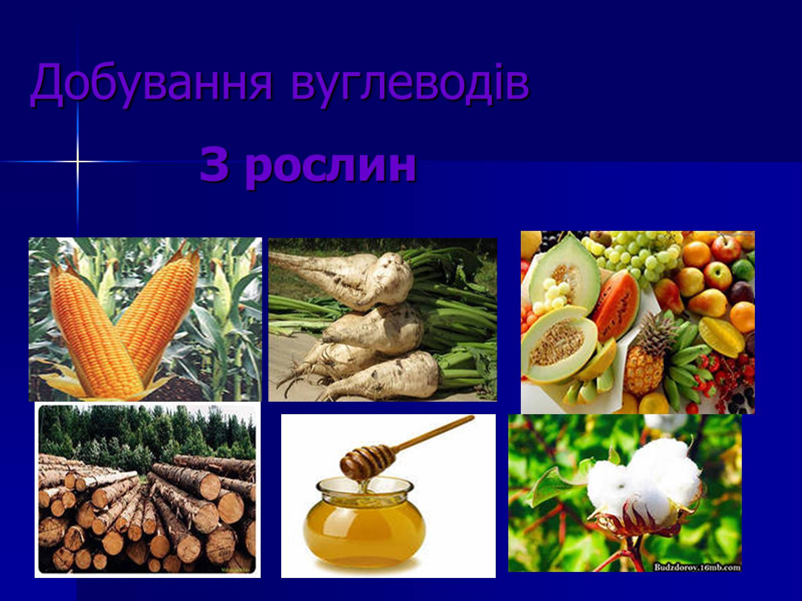 Презентація на тему «Вуглеводи як компоненти їжі, їх роль у житті людини» (варіант 19) - Слайд #13 Презентація на тему «Вуглеводи як компоненти їжі, їх роль у житті людини» (варіант 19) - Слайд #13