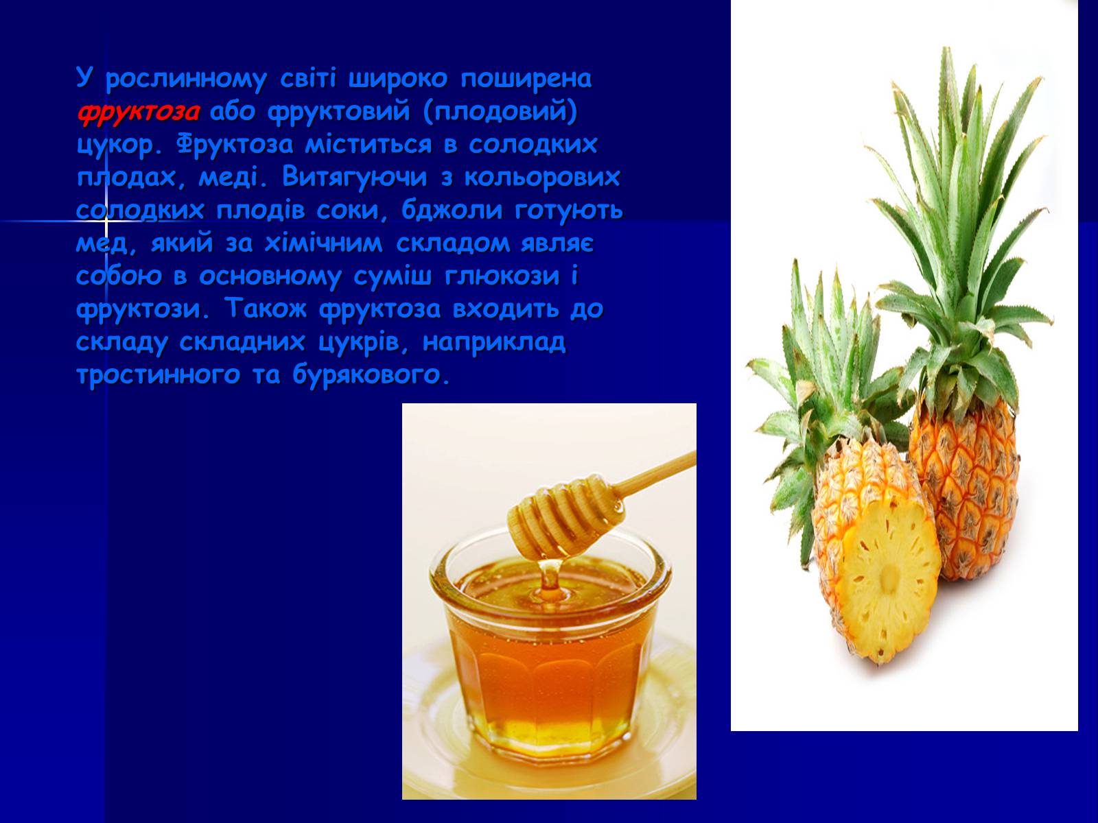 Презентація на тему «Вуглеводи як компоненти їжі, їх роль у житті людини» (варіант 19) - Слайд #5 Презентація на тему «Вуглеводи як компоненти їжі, їх роль у житті людини» (варіант 19) - Слайд #5