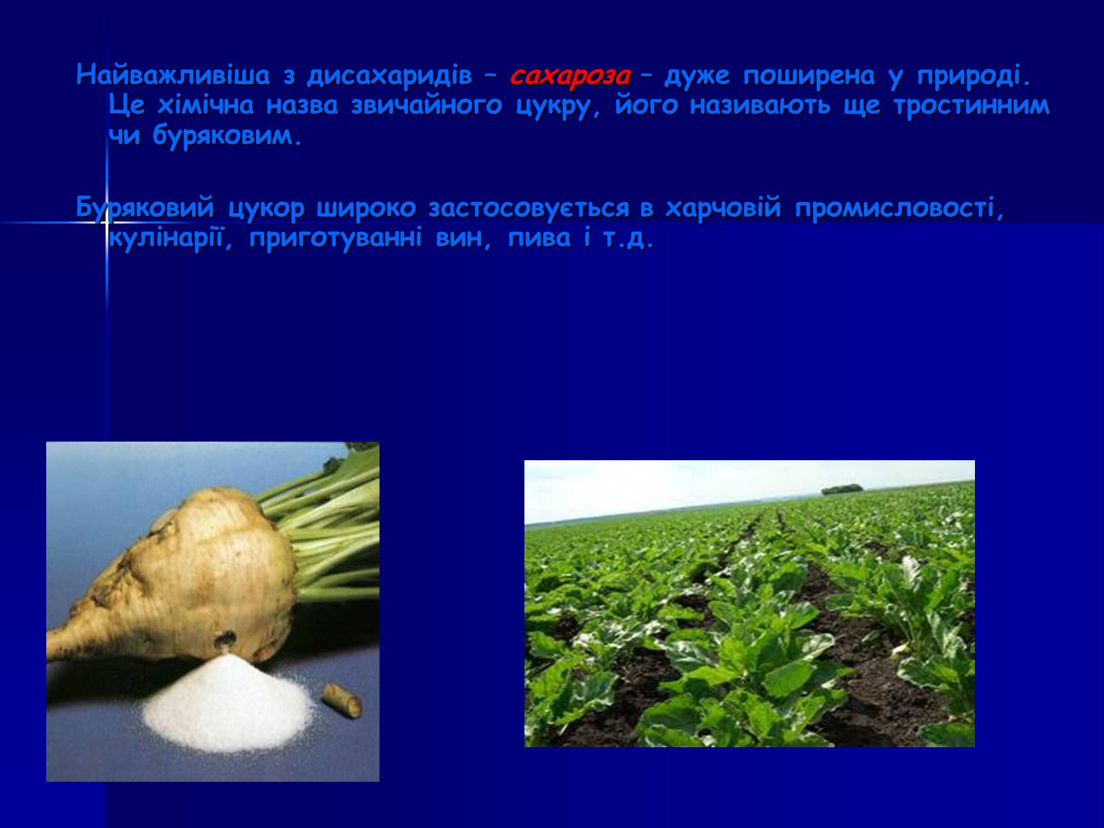 Презентація на тему «Вуглеводи як компоненти їжі, їх роль у житті людини» (варіант 19) - Слайд #7 Презентація на тему «Вуглеводи як компоненти їжі, їх роль у житті людини» (варіант 19) - Слайд #7