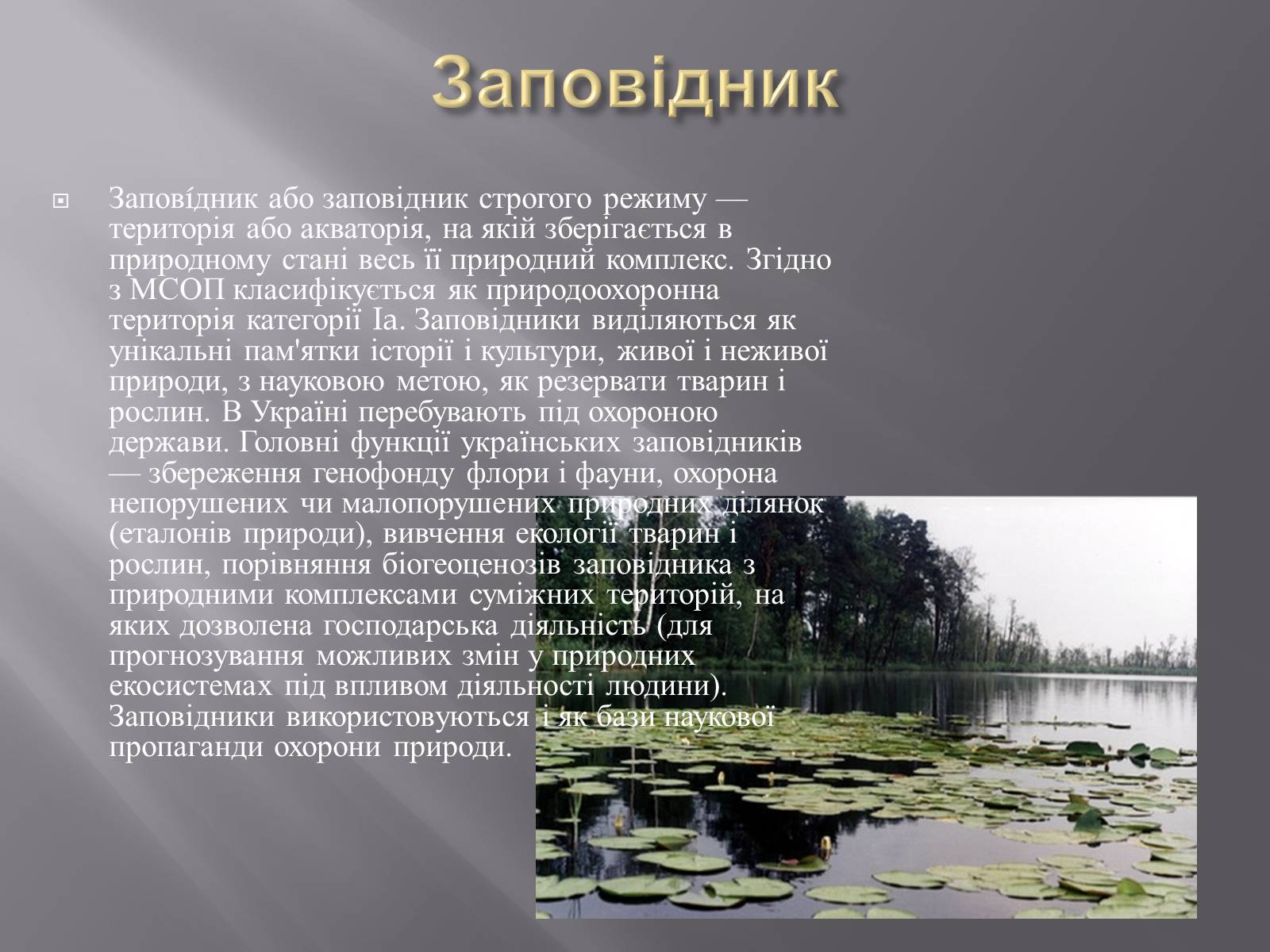 Презентація на тему «Біорізноманіття» (варіант 3) - Слайд #12 Презентація на тему «Біорізноманіття» (варіант 3) - Слайд #12