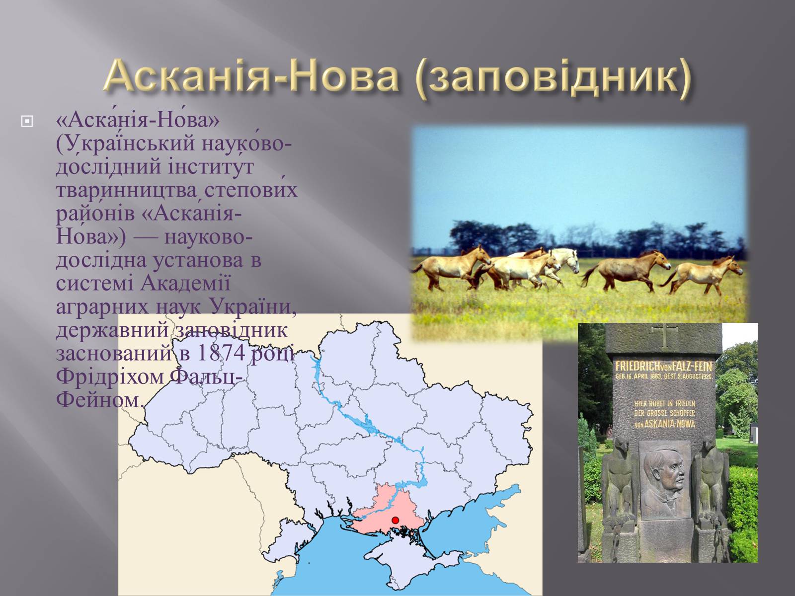 Презентація на тему «Біорізноманіття» (варіант 3) - Слайд #18 Презентація на тему «Біорізноманіття» (варіант 3) - Слайд #18