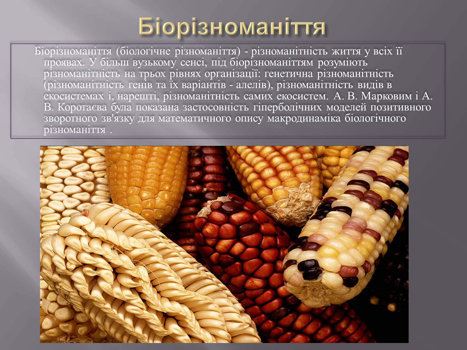 Презентація на тему «Біорізноманіття» (варіант 3) - Слайд #2 Презентація на тему «Біорізноманіття» (варіант 3) - Слайд #2