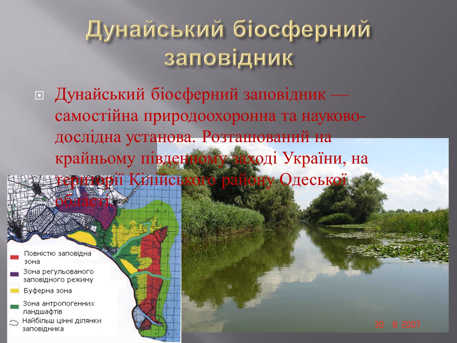 Презентація на тему «Біорізноманіття» (варіант 3) - Слайд #21 Презентація на тему «Біорізноманіття» (варіант 3) - Слайд #21