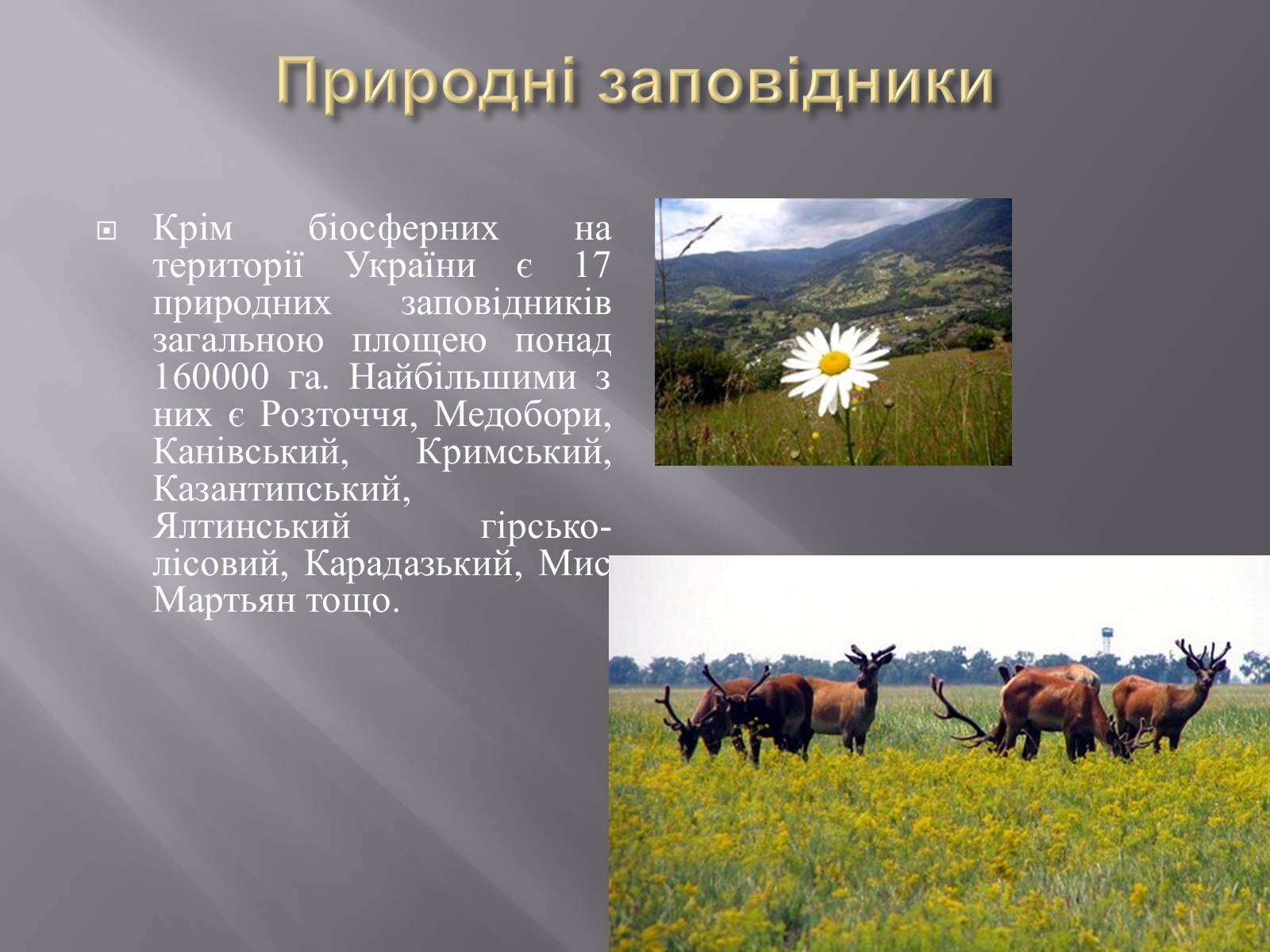 Презентація на тему «Біорізноманіття» (варіант 3) - Слайд #22 Презентація на тему «Біорізноманіття» (варіант 3) - Слайд #22