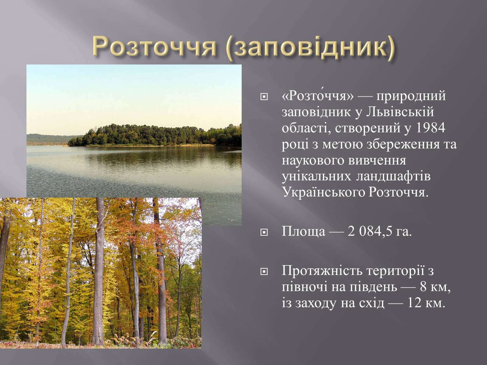 Презентація на тему «Біорізноманіття» (варіант 3) - Слайд #24 Презентація на тему «Біорізноманіття» (варіант 3) - Слайд #24