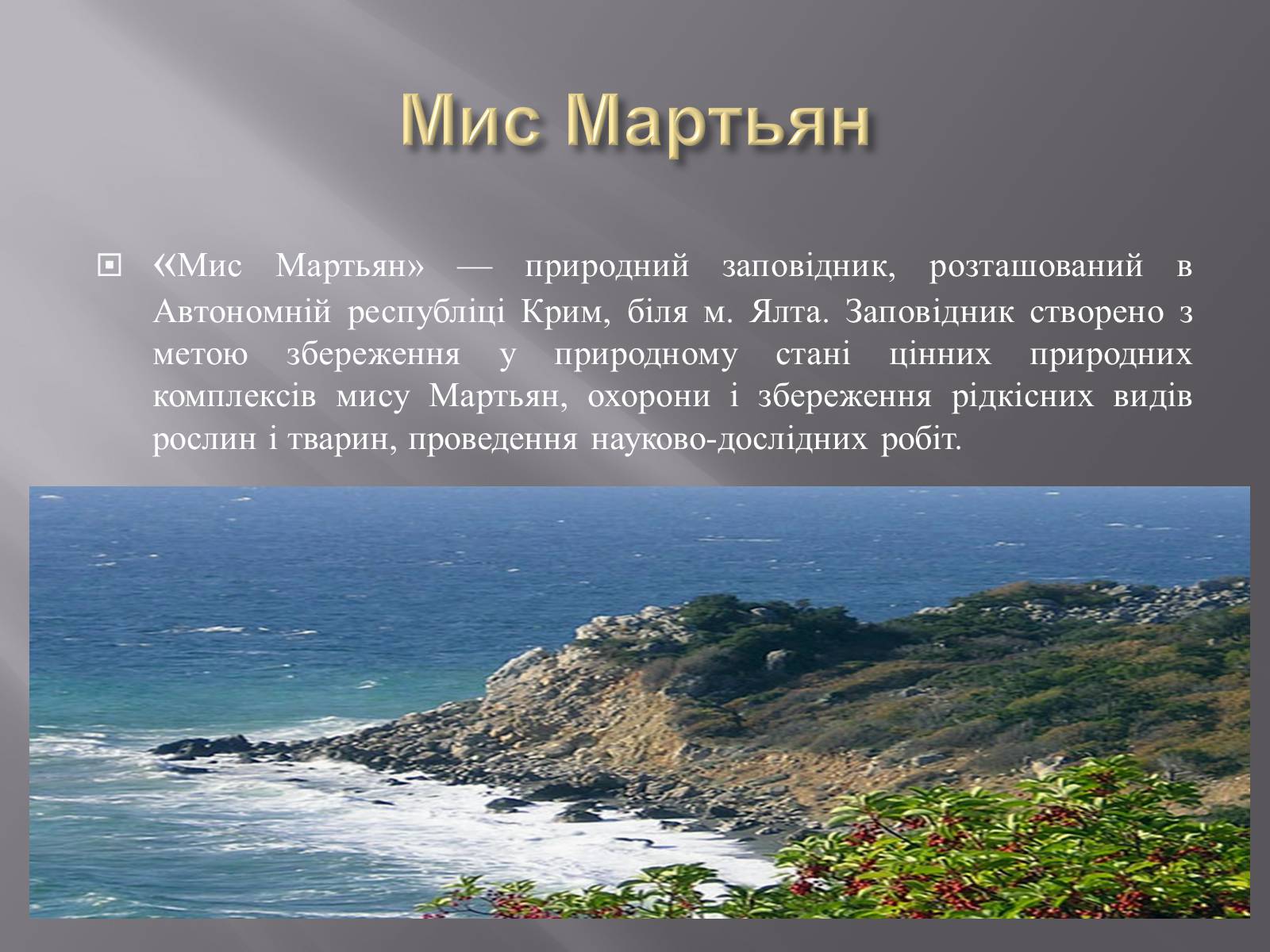 Презентація на тему «Біорізноманіття» (варіант 3) - Слайд #25 Презентація на тему «Біорізноманіття» (варіант 3) - Слайд #25