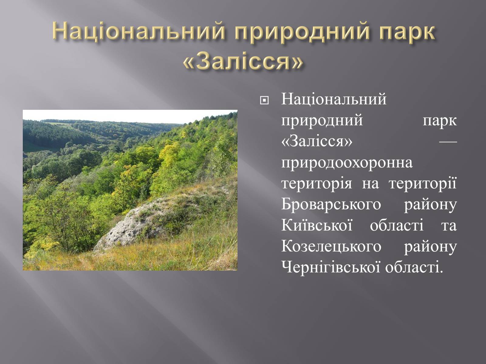 Презентація на тему «Біорізноманіття» (варіант 3) - Слайд #28 Презентація на тему «Біорізноманіття» (варіант 3) - Слайд #28