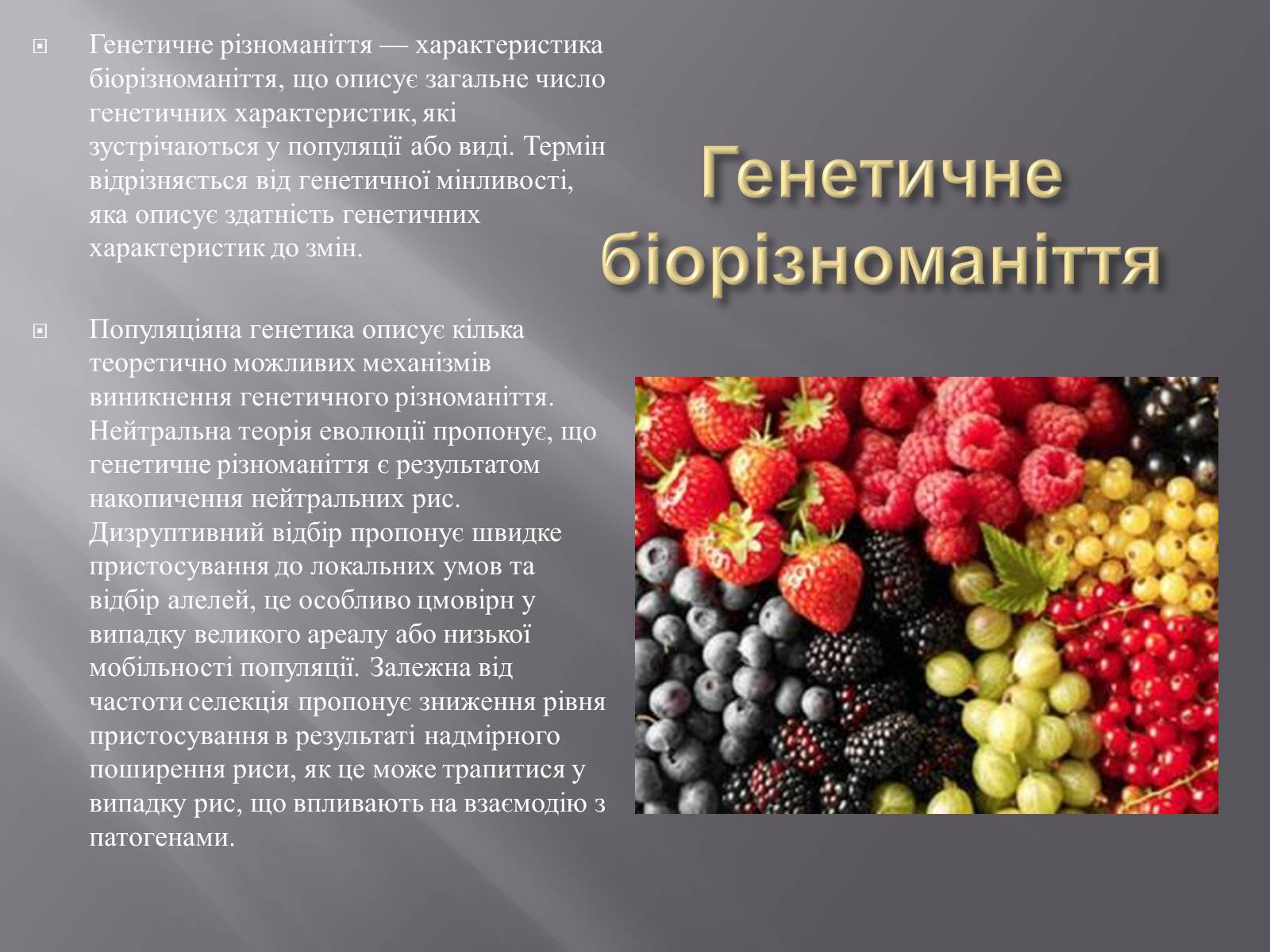 Презентація на тему «Біорізноманіття» (варіант 3) - Слайд #4 Презентація на тему «Біорізноманіття» (варіант 3) - Слайд #4