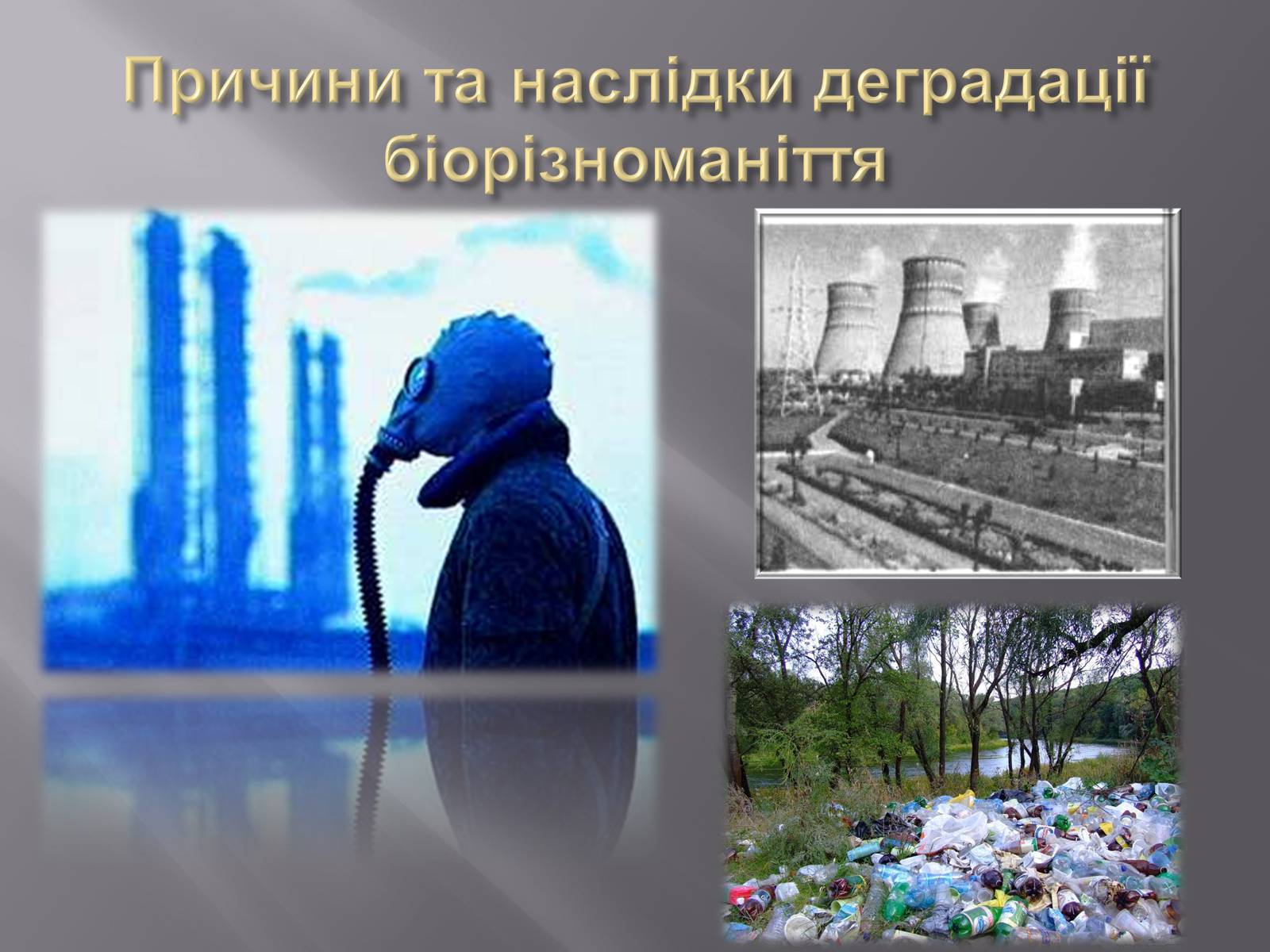 Презентація на тему «Біорізноманіття» (варіант 3) - Слайд #7 Презентація на тему «Біорізноманіття» (варіант 3) - Слайд #7