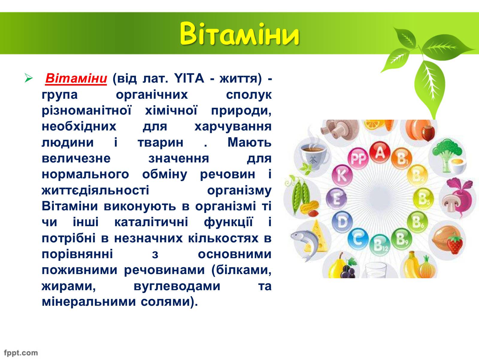 Презентація на тему «Біологічно активні речовини» - Слайд #9 Презентація на тему «Біологічно активні речовини» - Слайд #9