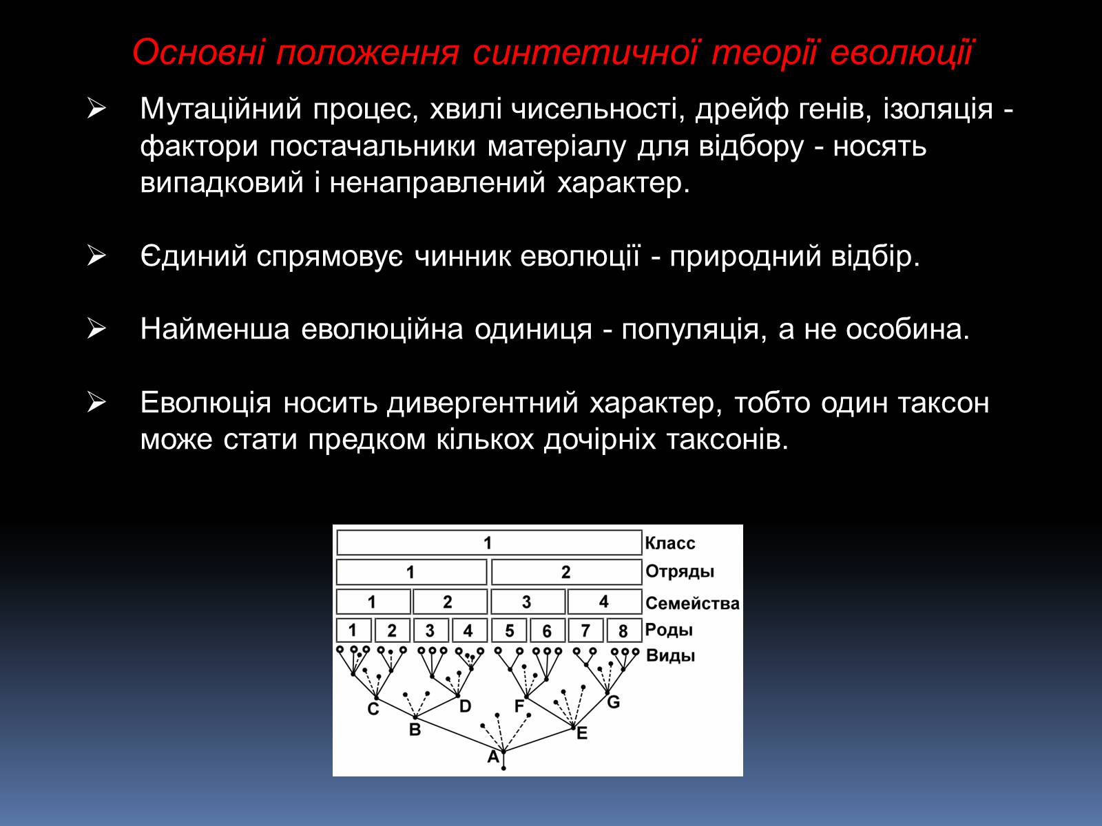Презентація на тему «Синтетична теорія еволюції» (варіант 1) - Слайд #13 Презентація на тему «Синтетична теорія еволюції» (варіант 1) - Слайд #13