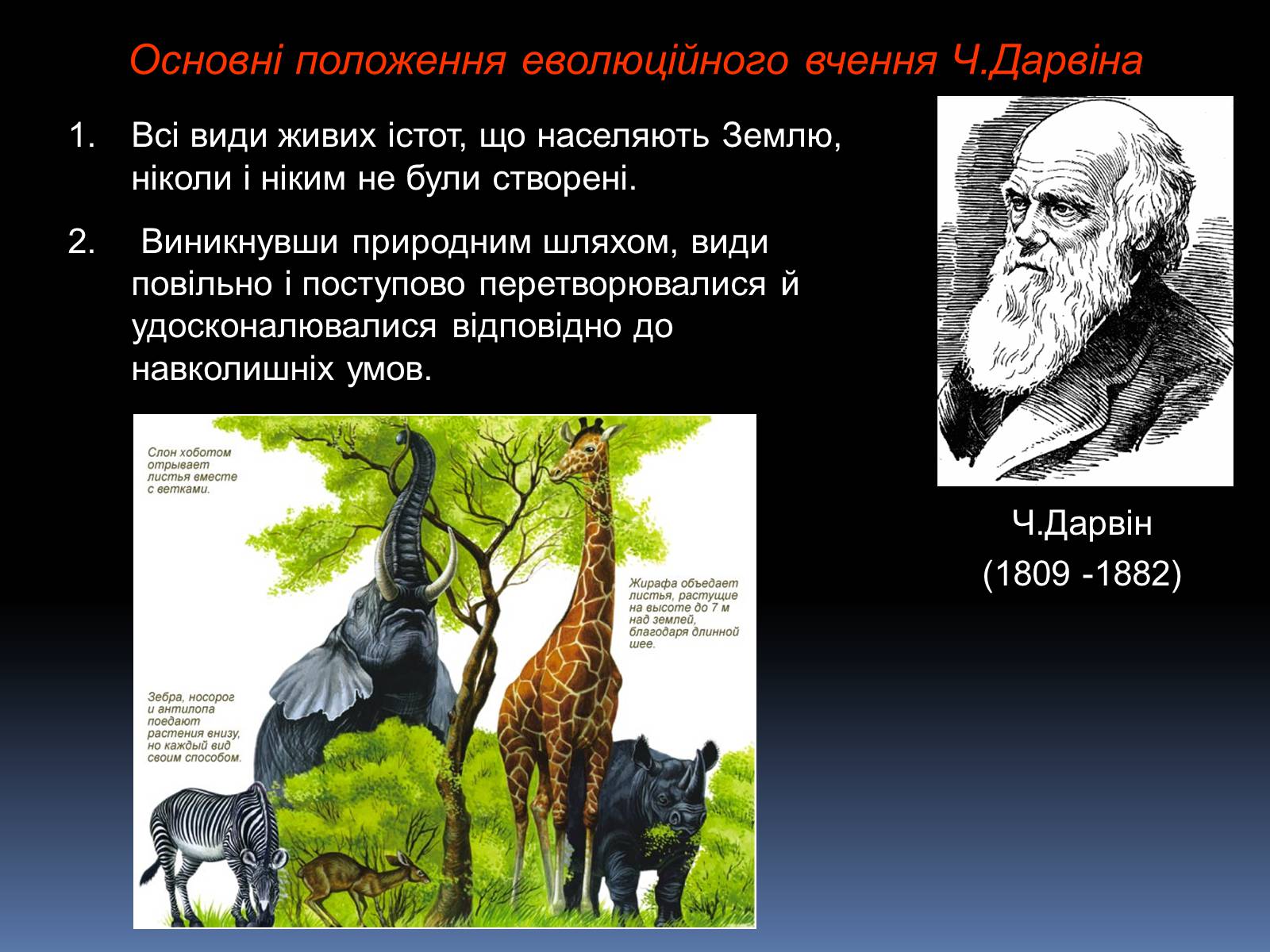 Презентація на тему «Синтетична теорія еволюції» (варіант 1) - Слайд #2 Презентація на тему «Синтетична теорія еволюції» (варіант 1) - Слайд #2