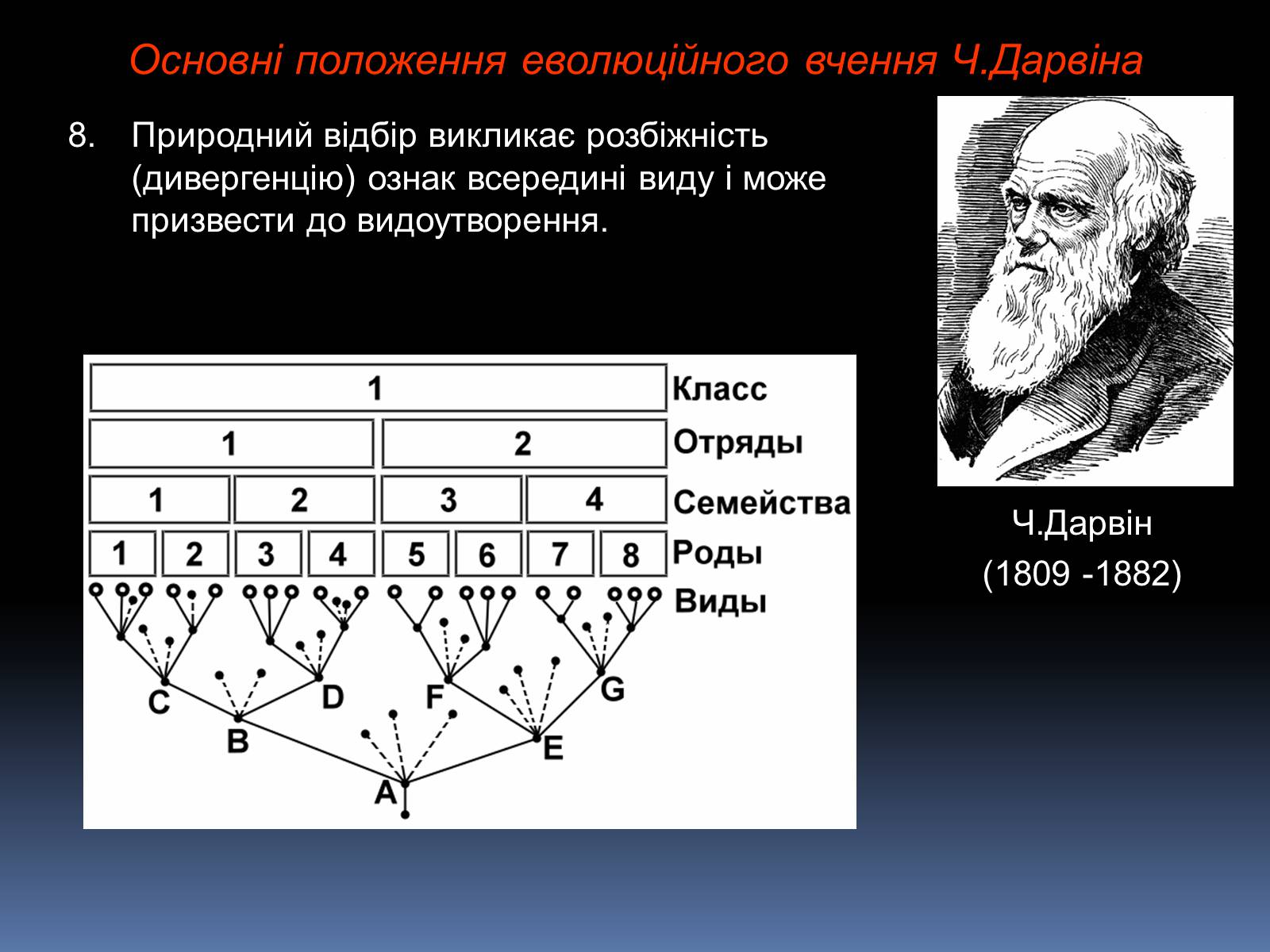 Презентація на тему «Синтетична теорія еволюції» (варіант 1) - Слайд #8 Презентація на тему «Синтетична теорія еволюції» (варіант 1) - Слайд #8