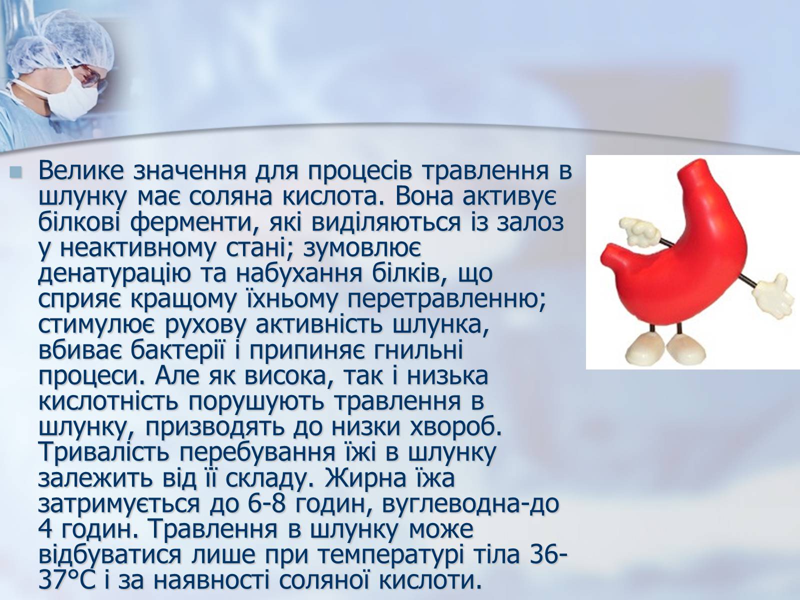Презентація на тему «Шлунок» (варіант 2) - Слайд #5 Презентація на тему «Шлунок» (варіант 2) - Слайд #5