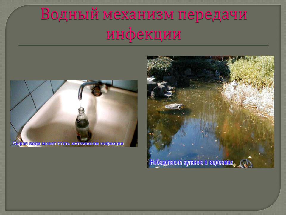 Презентація на тему «Инфекционные заболевания и их профилактика» - Слайд #13 Презентація на тему «Инфекционные заболевания и их профилактика» - Слайд #13