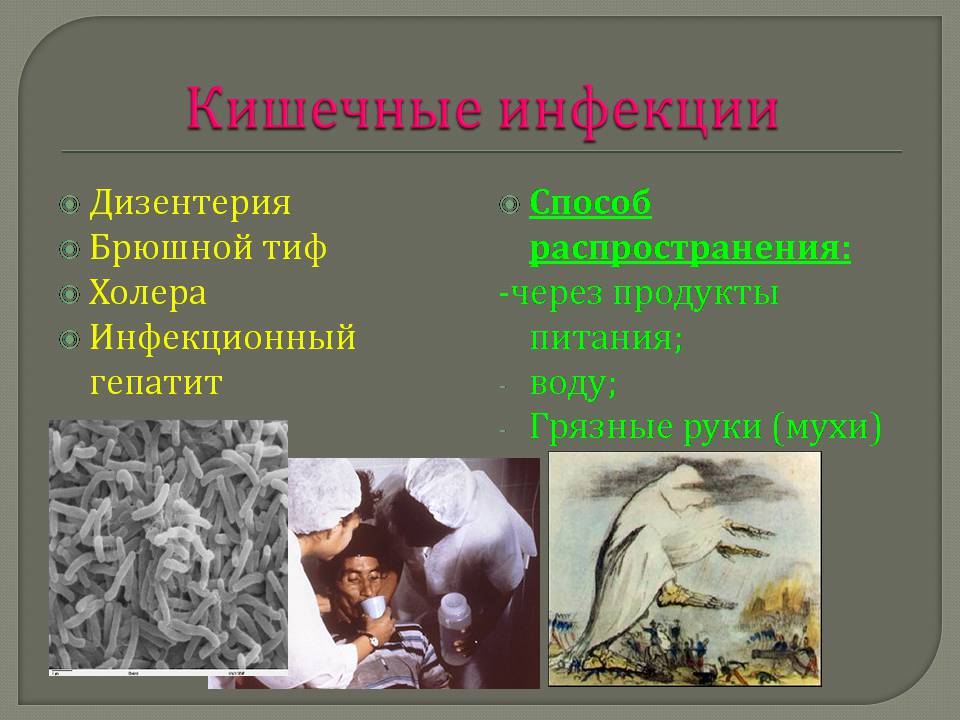 Презентація на тему «Инфекционные заболевания и их профилактика» - Слайд #5 Презентація на тему «Инфекционные заболевания и их профилактика» - Слайд #5
