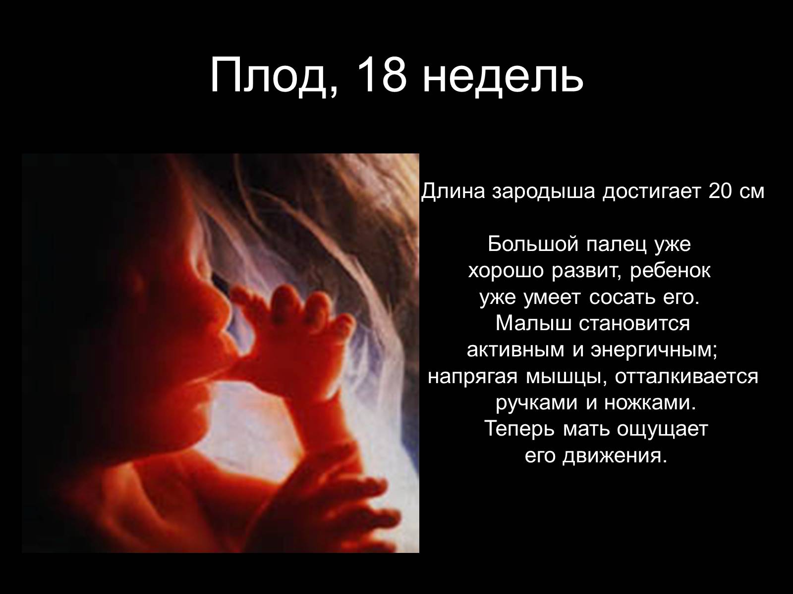 Презентація на тему «Половая система человека» (варіант 2) - Слайд #23 Презентація на тему «Половая система человека» (варіант 2) - Слайд #23