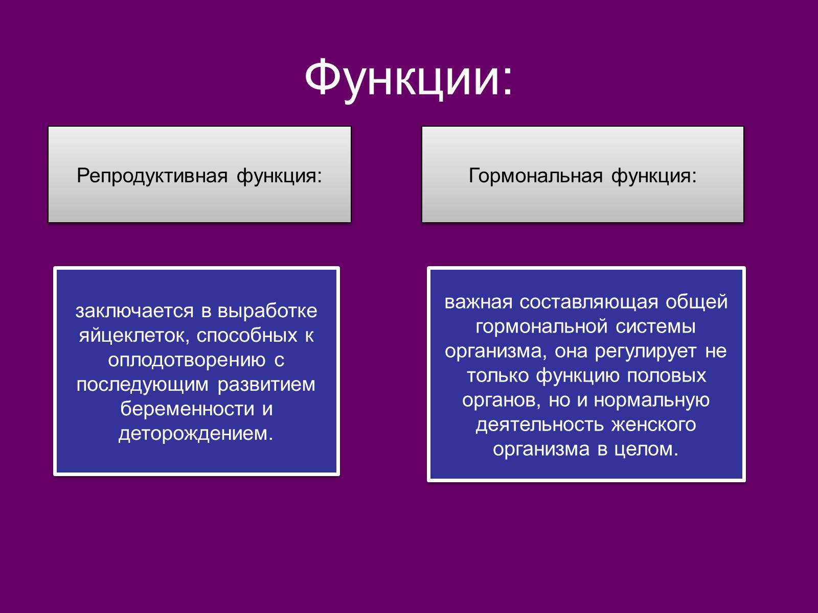 Презентація на тему «Половая система человека» (варіант 2) - Слайд #7 Презентація на тему «Половая система человека» (варіант 2) - Слайд #7