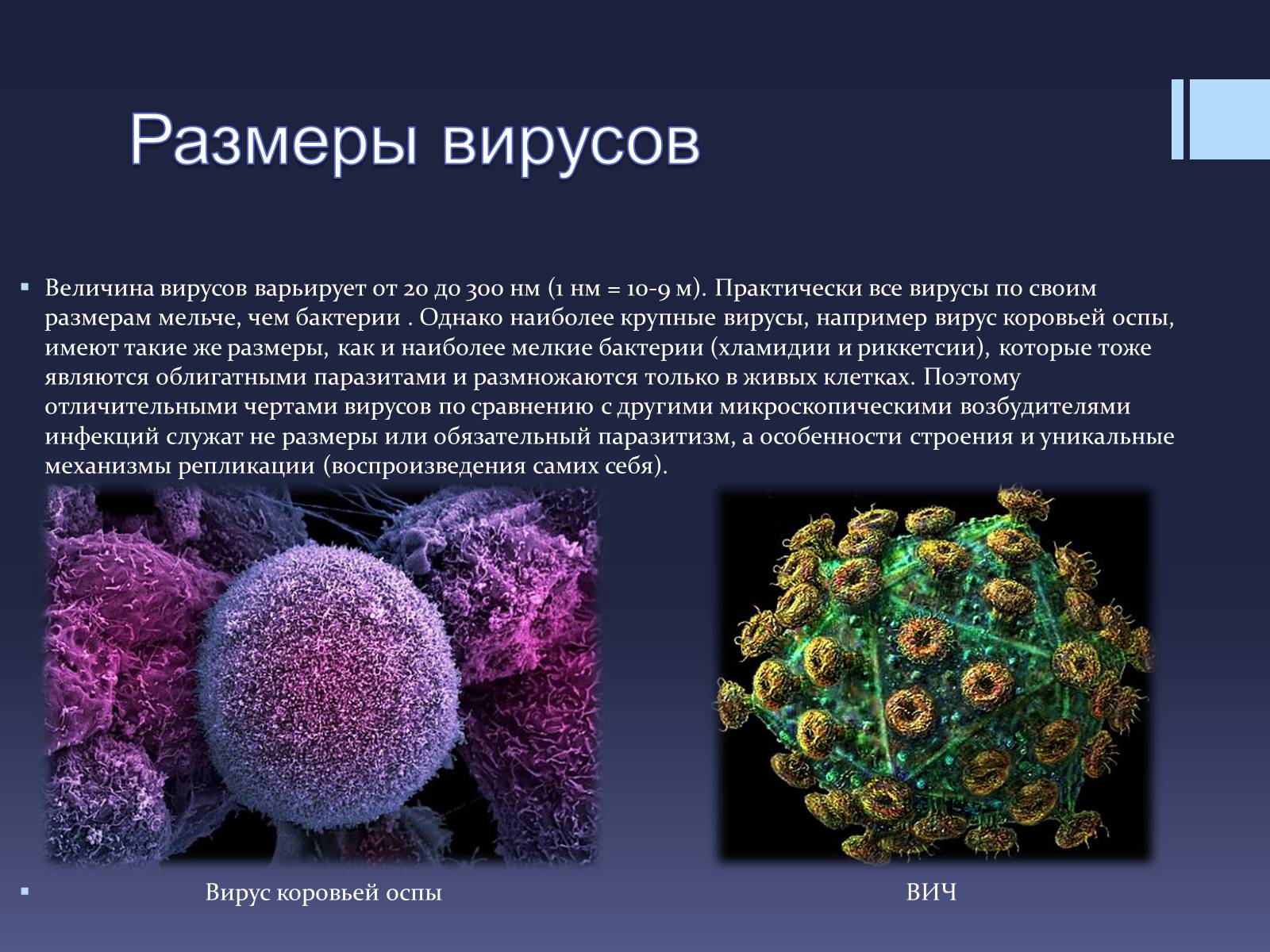 Презентація на тему «Вирусы — неклеточные формы жизни» - Слайд #4 Презентація на тему «Вирусы — неклеточные формы жизни» - Слайд #4