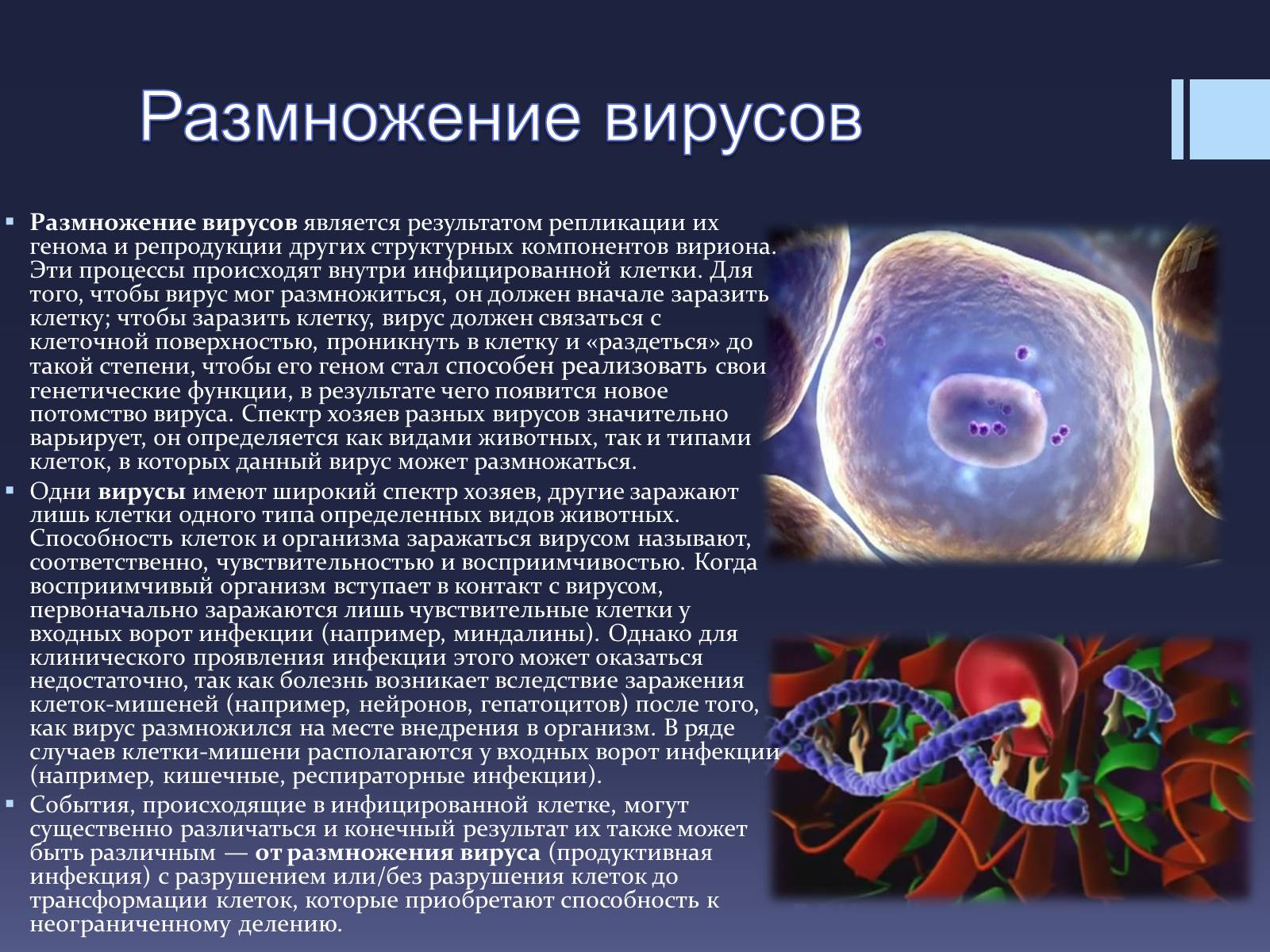 Презентація на тему «Вирусы — неклеточные формы жизни» - Слайд #5 Презентація на тему «Вирусы — неклеточные формы жизни» - Слайд #5