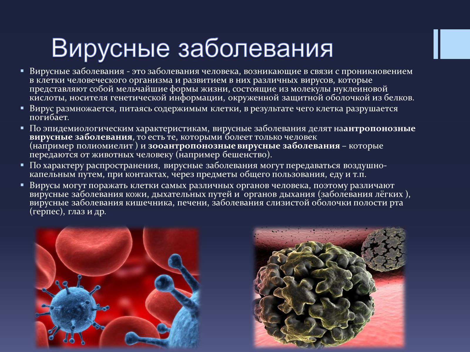 Презентація на тему «Вирусы — неклеточные формы жизни» - Слайд #8 Презентація на тему «Вирусы — неклеточные формы жизни» - Слайд #8