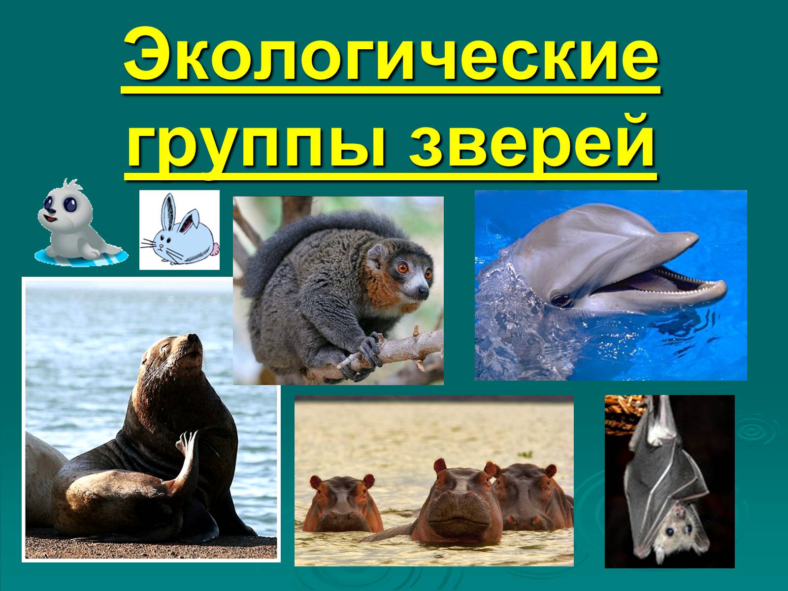 Презентація на тему «Класс Млекопитающие» (варіант 2) - Слайд #27 Презентація на тему «Класс Млекопитающие» (варіант 2) - Слайд #27
