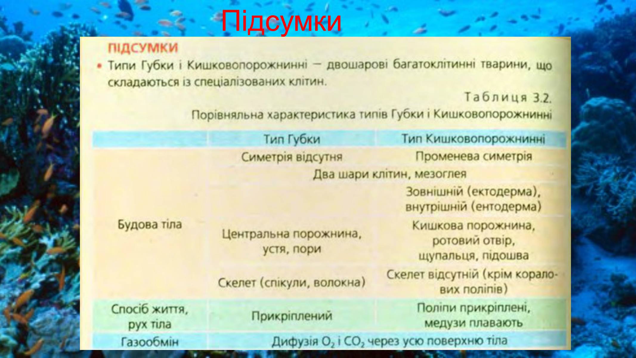 Презентація на тему «Тип Губки» (варіант 2) - Слайд #16 Презентація на тему «Тип Губки» (варіант 2) - Слайд #16